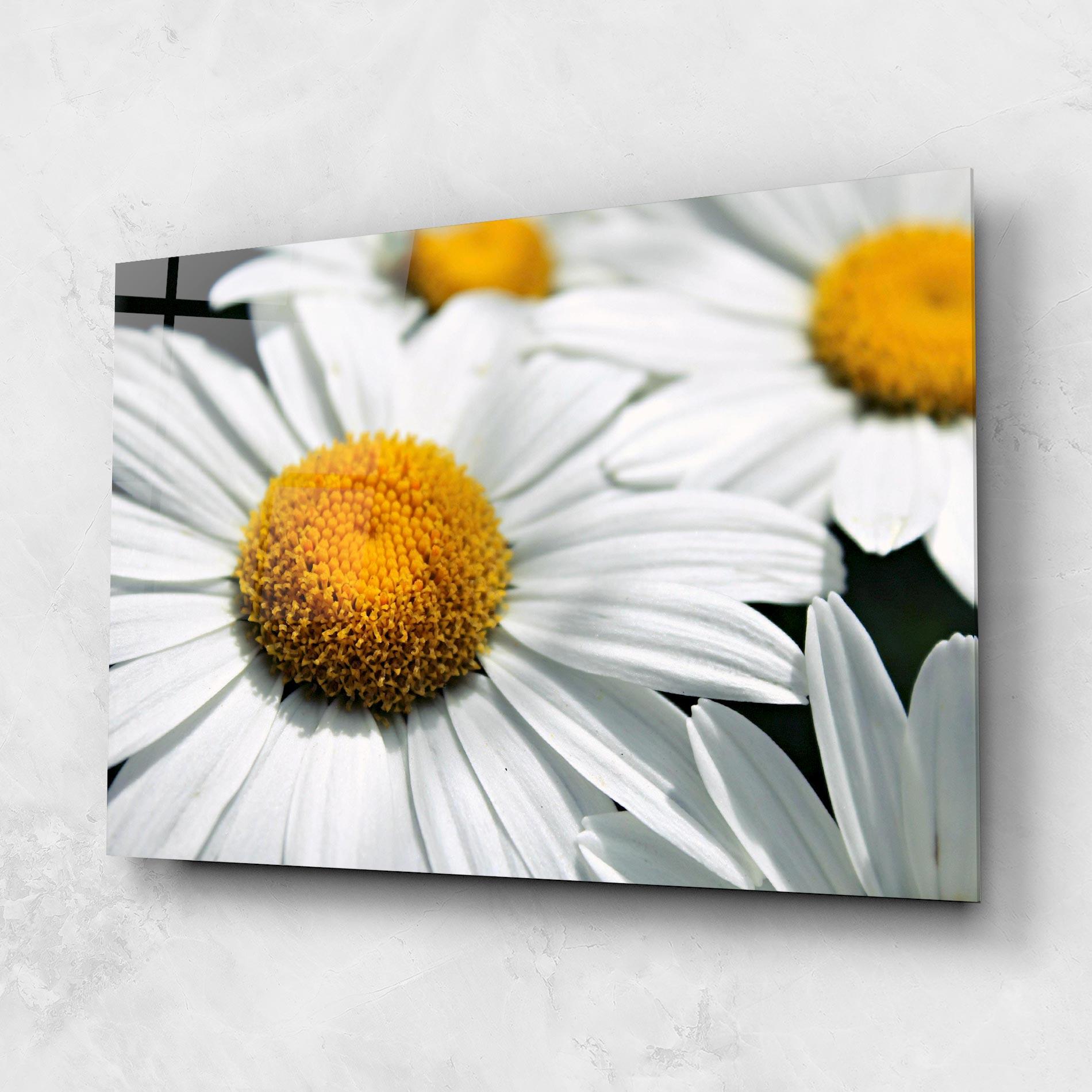 Стъклена картина Big Daisies mockup 1