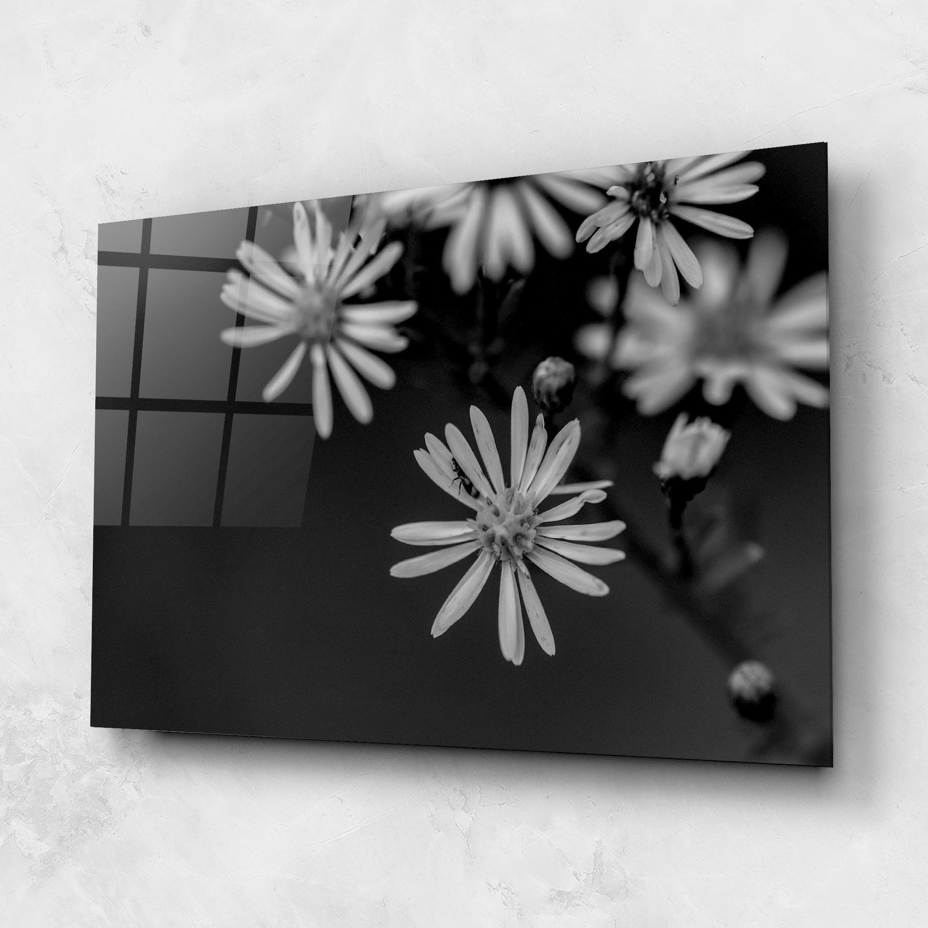 Стъклена картина Grey Small Daisy mockup 1