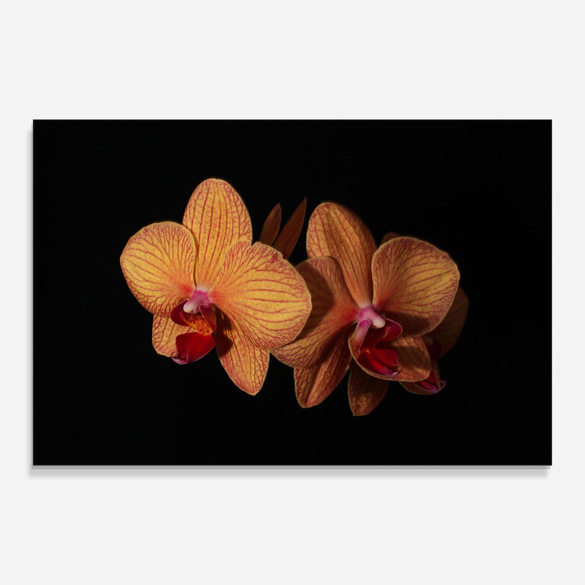 Стъклена картина Light Orange Orchid mockup 0