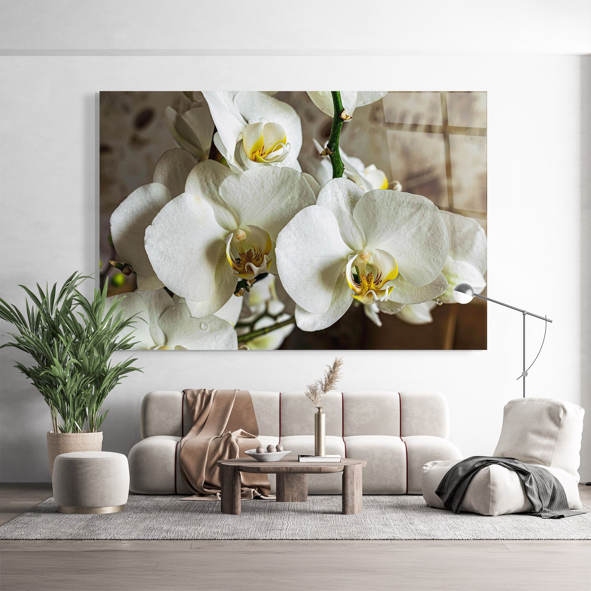 Beautiful White Orchids mockup 9