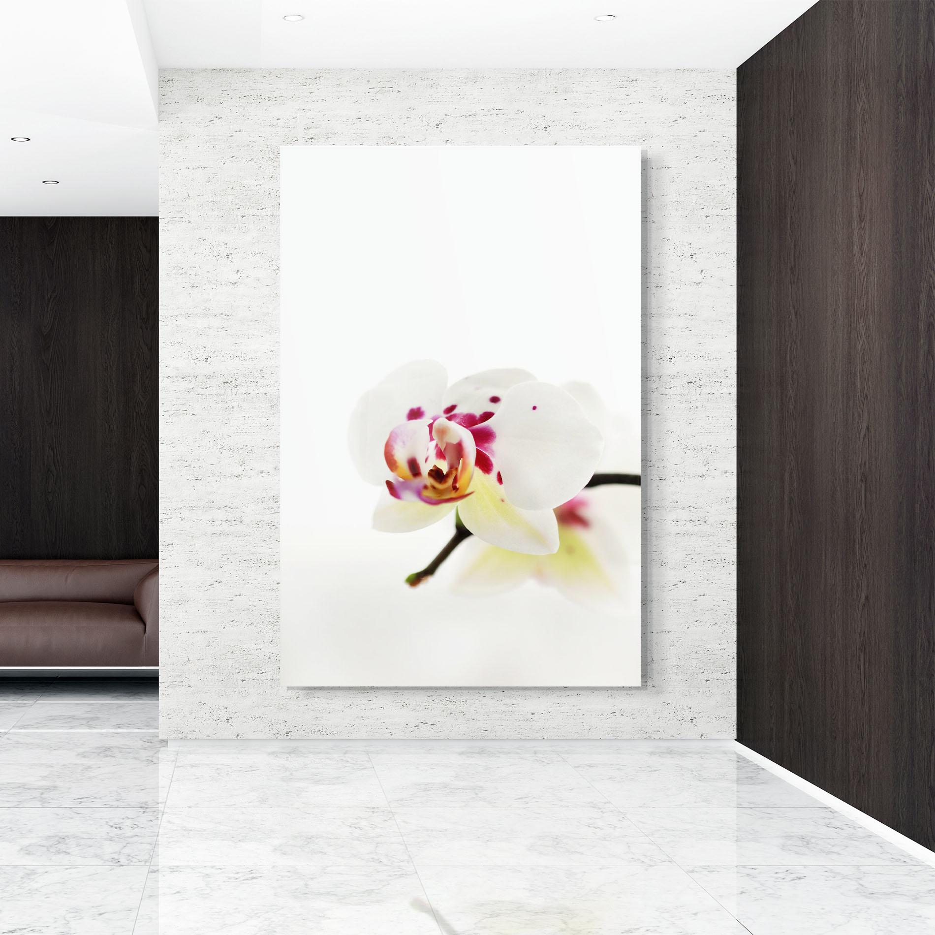 Стъклена картина Clean White Orchid mockup 9
