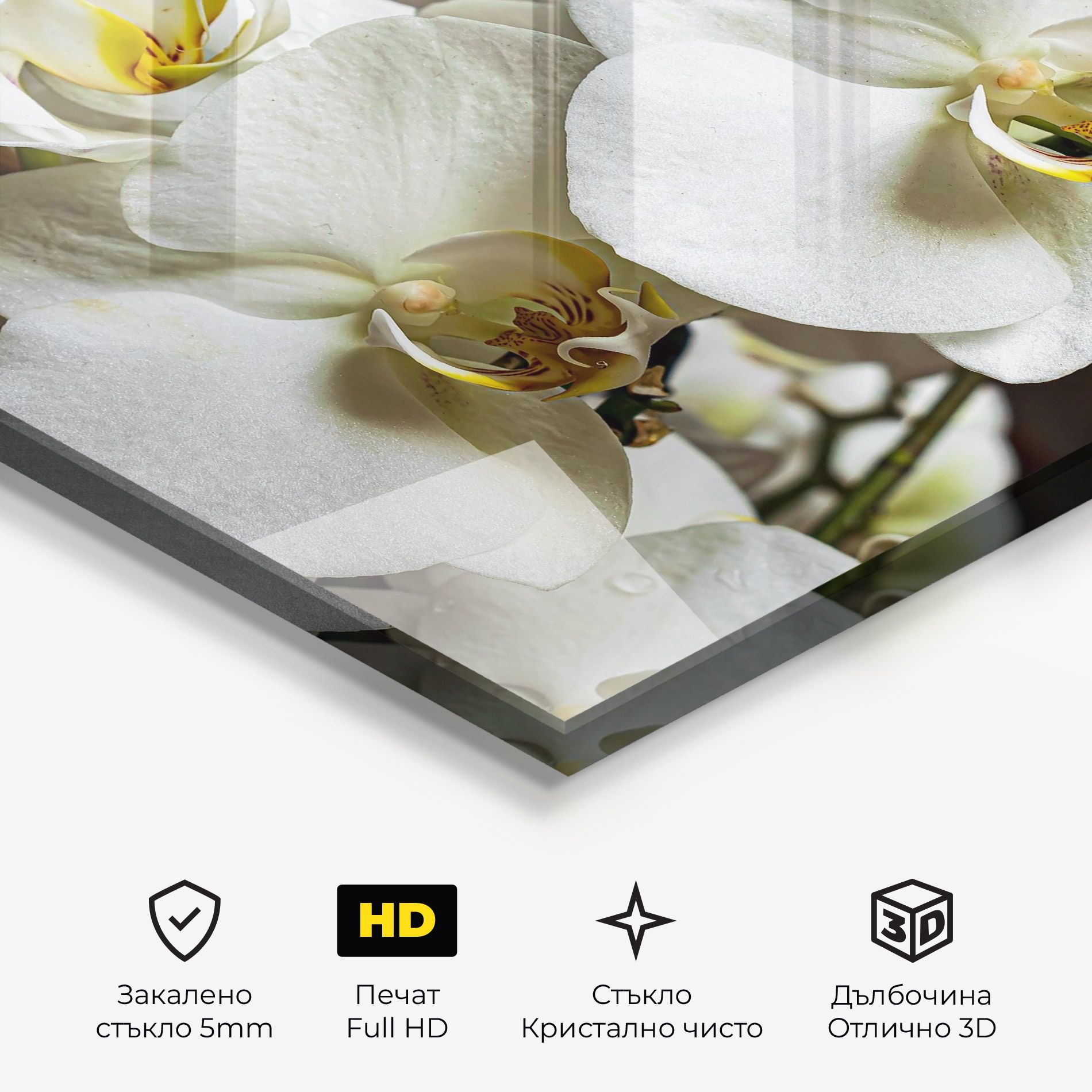 Beautiful White Orchids mockup 3