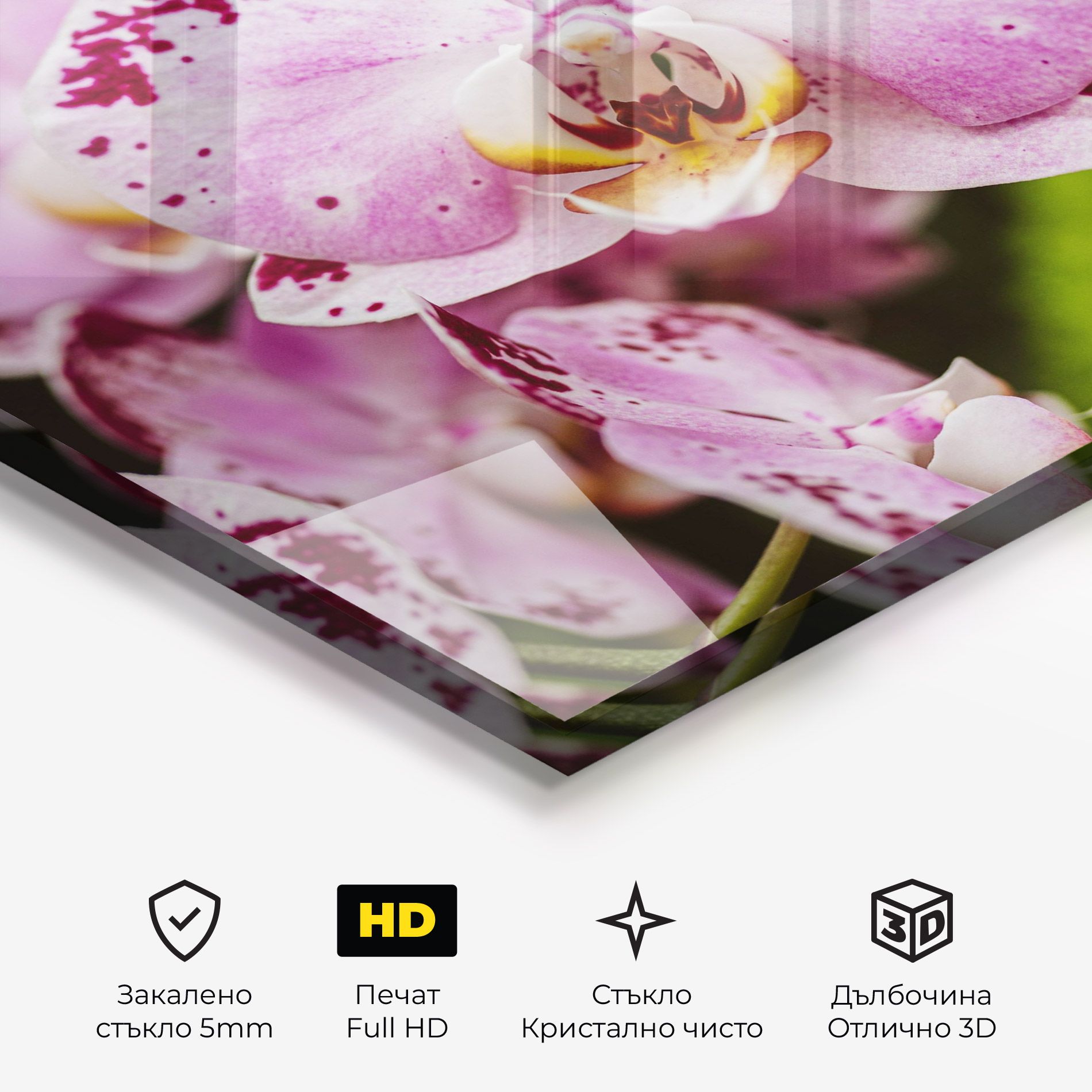 Big Pink Orchid In Nature mockup 3