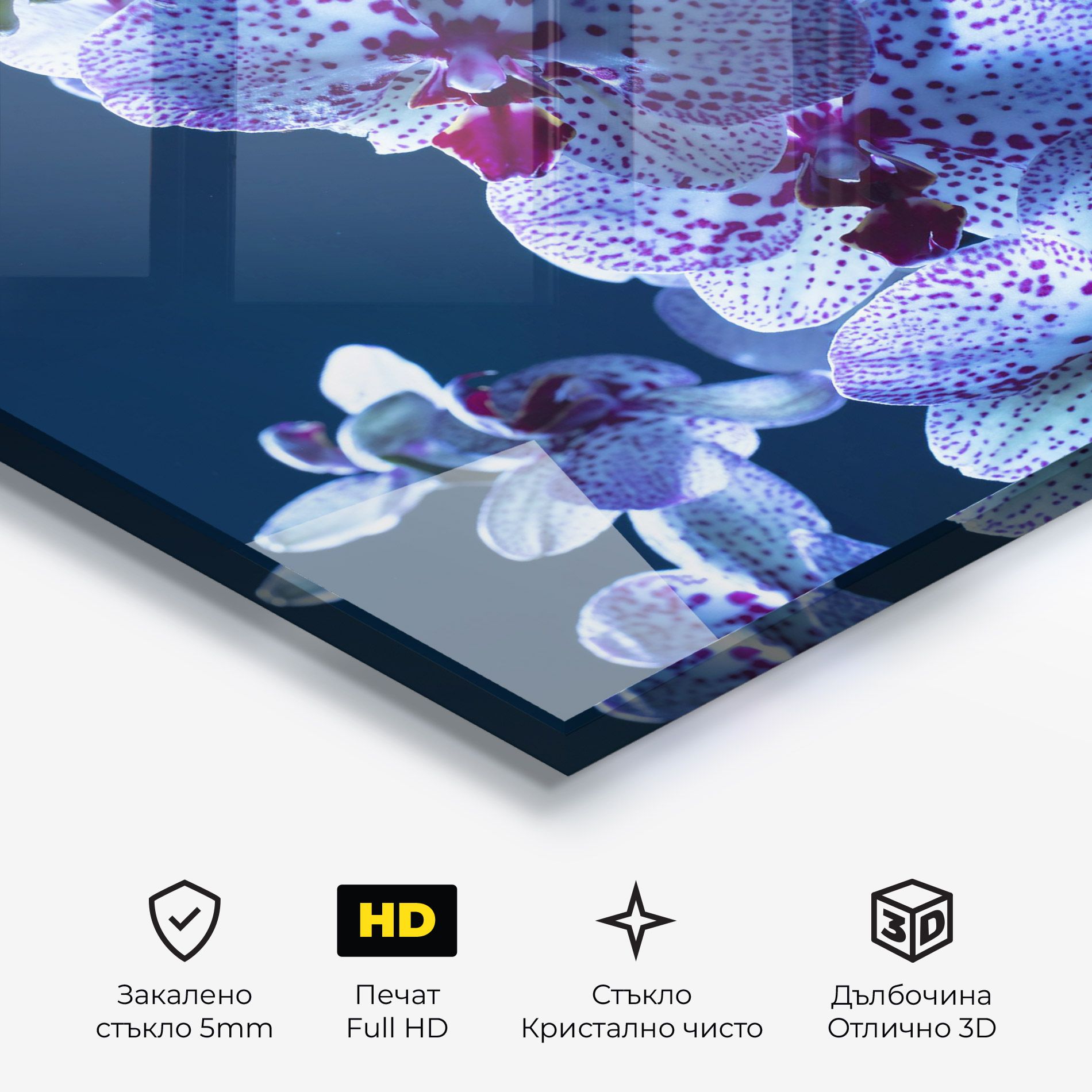 Blue Light Orchid mockup 3