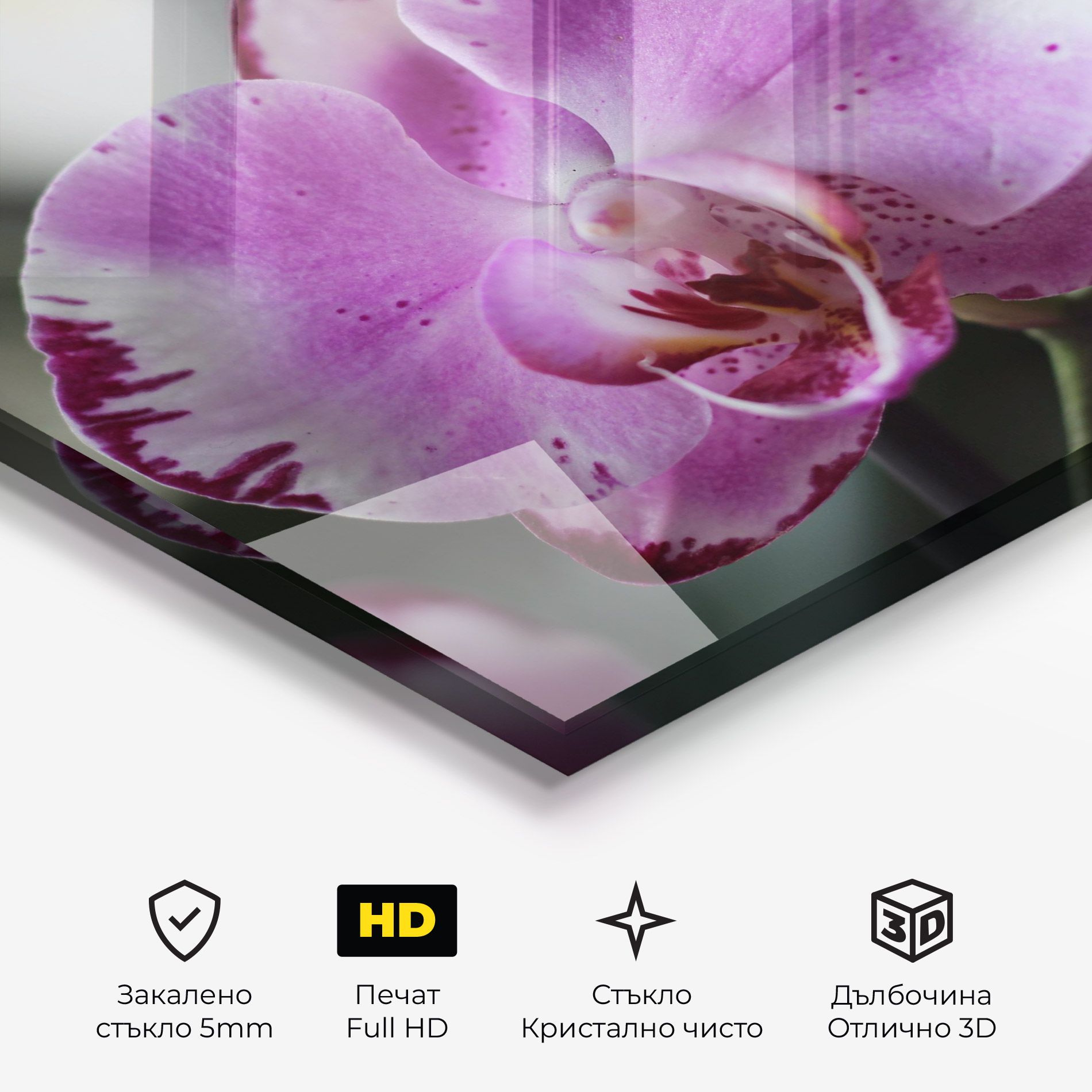 Dark Purple Orchids In Nature mockup 3