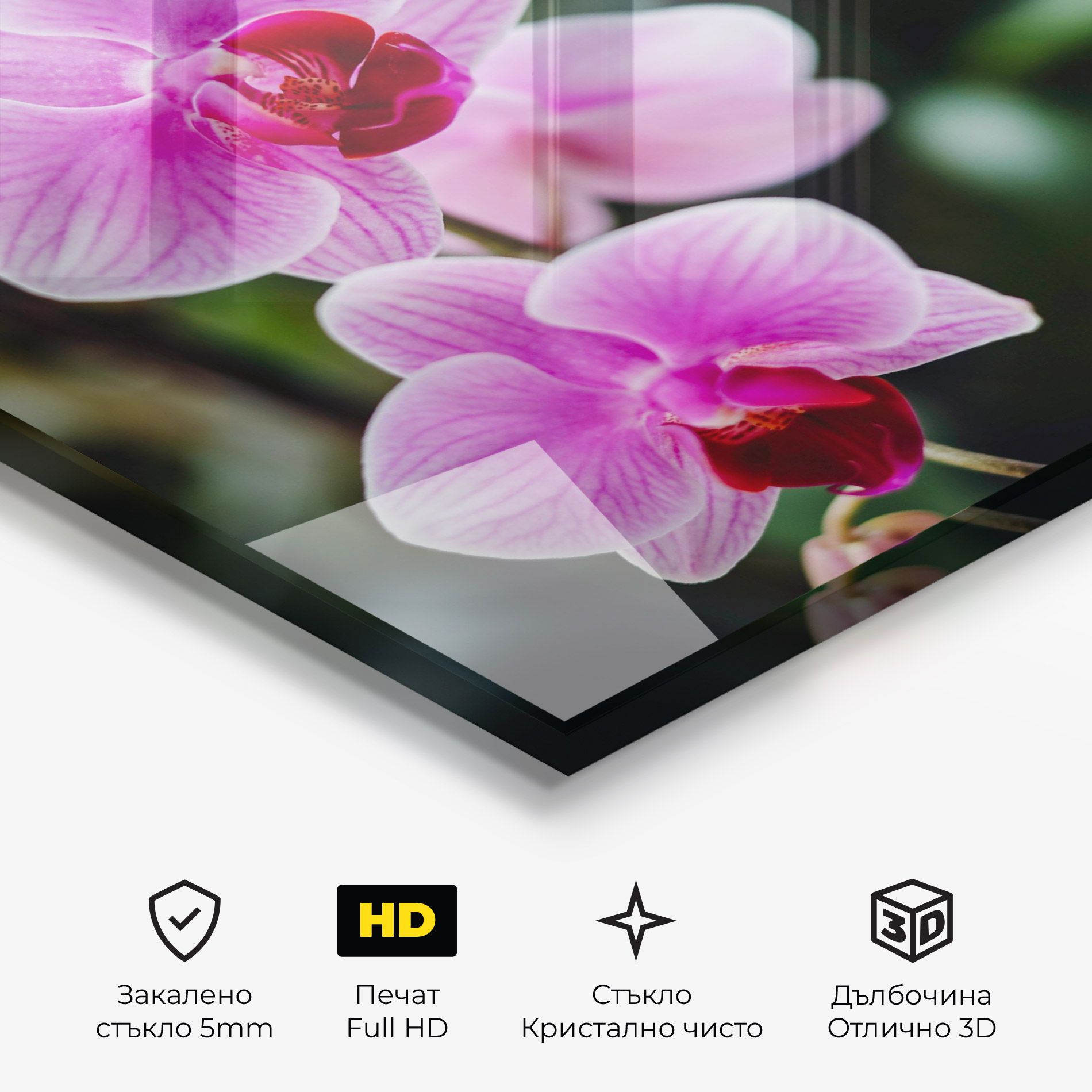 Garden Purple Orchids mockup 3