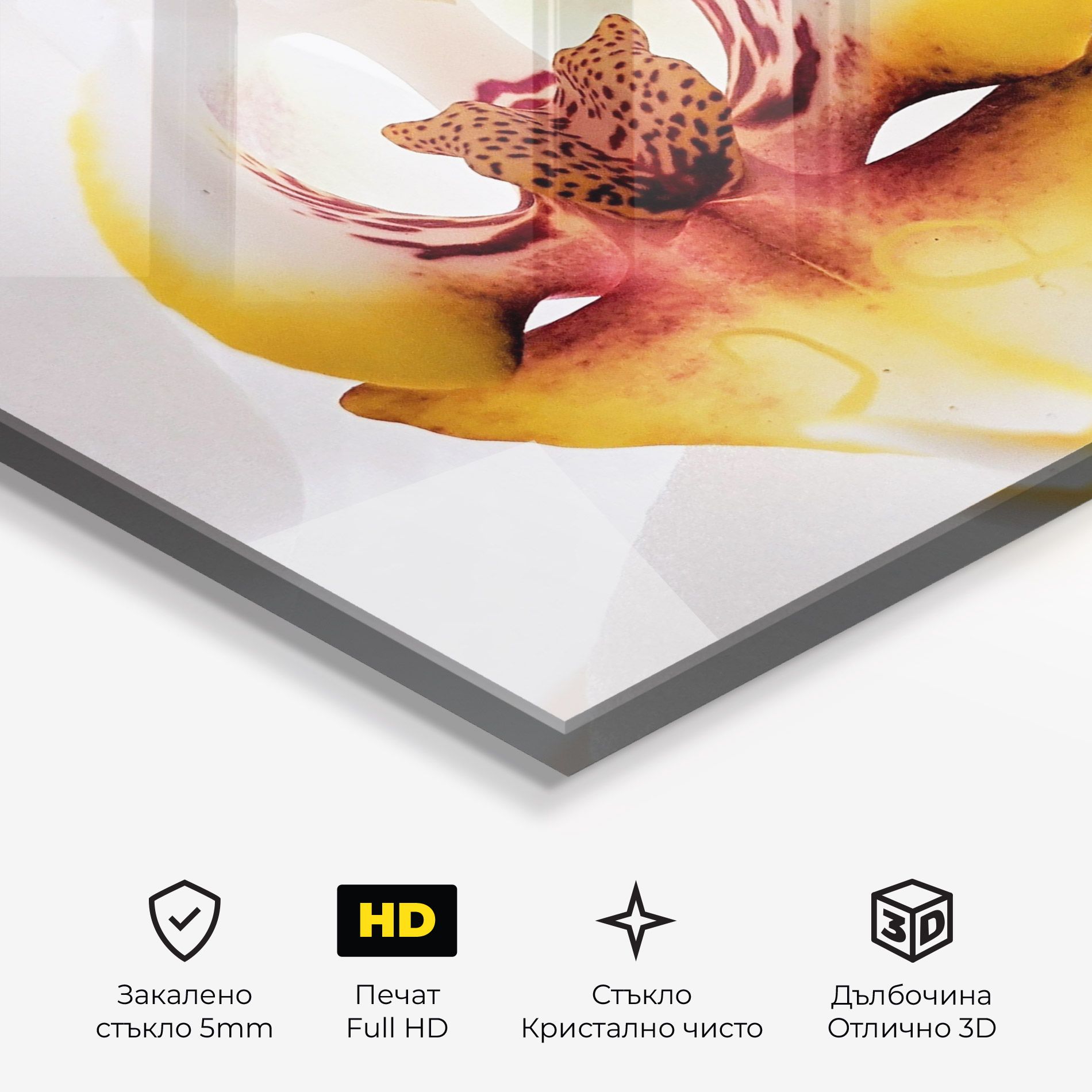 Orchid Close Up mockup 3