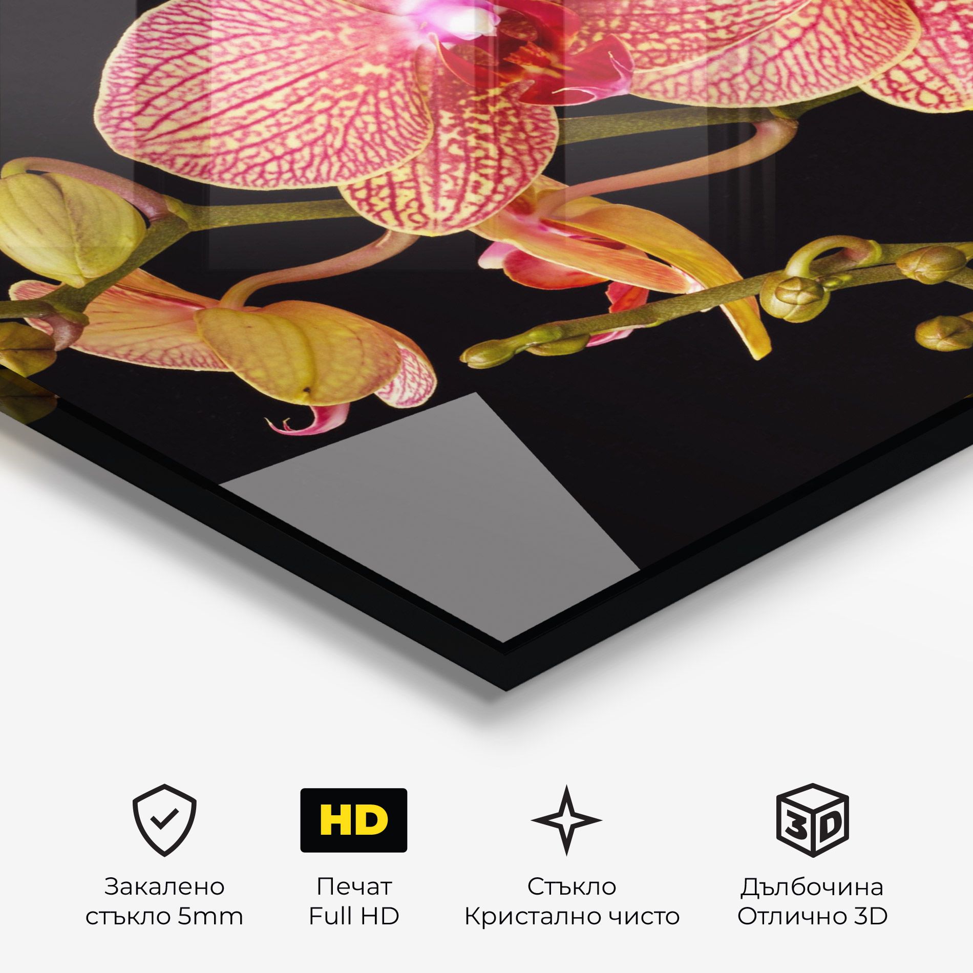 Pink Orchids On Black mockup 3