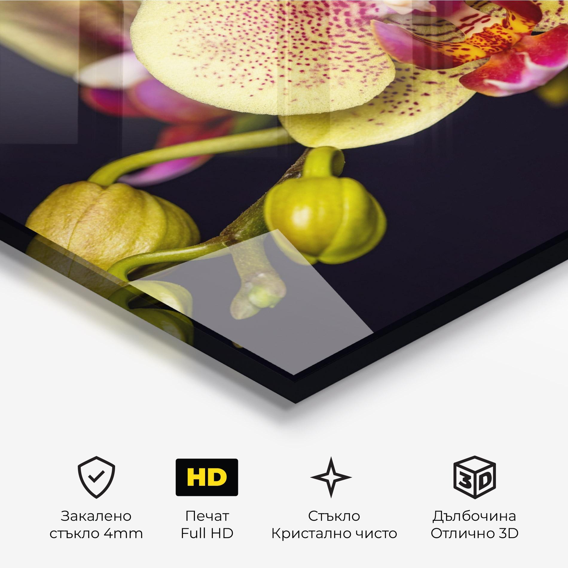 Стъклена картина Baby Orchid mockup 3