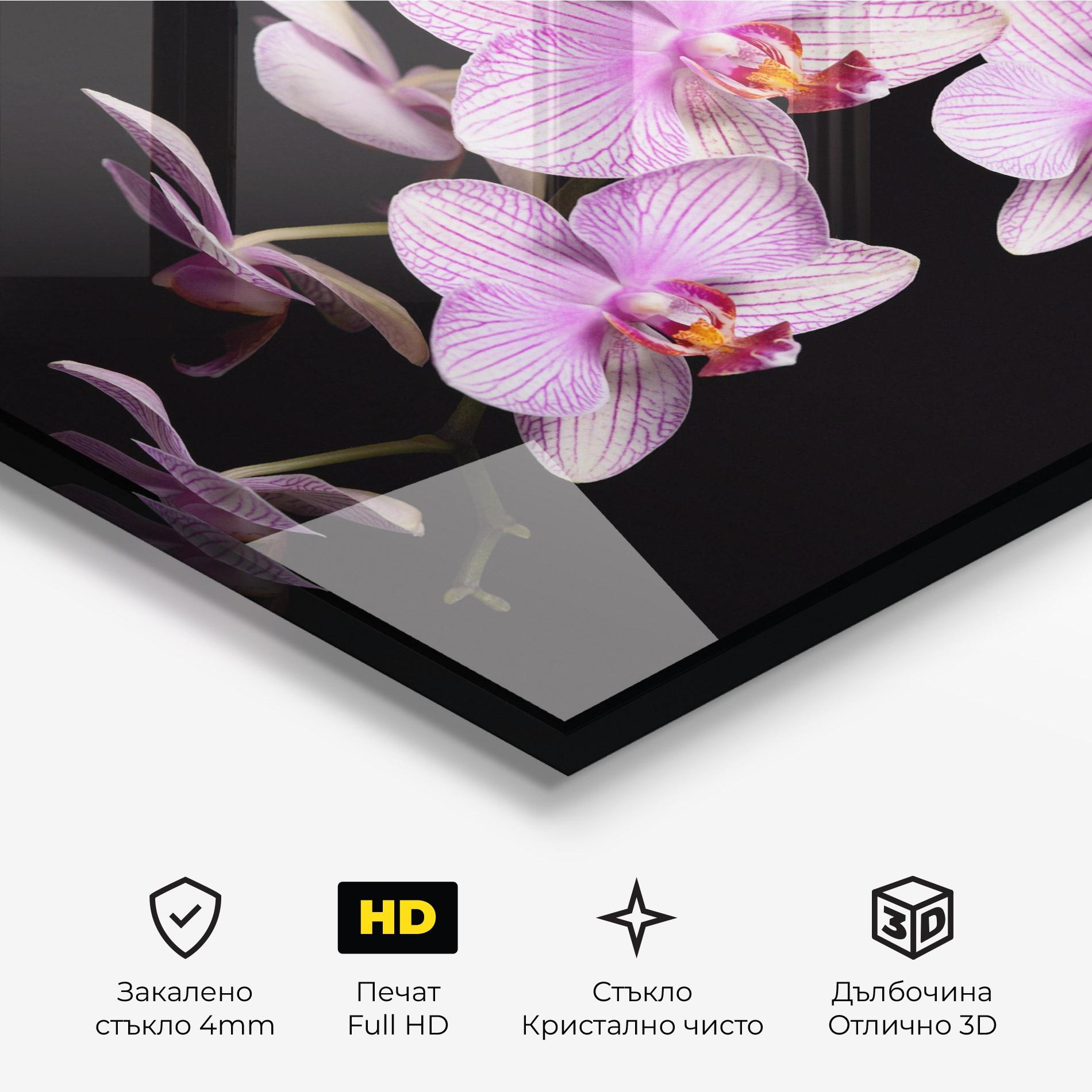 Стъклена картина Beautiful Orchids On Black mockup 3