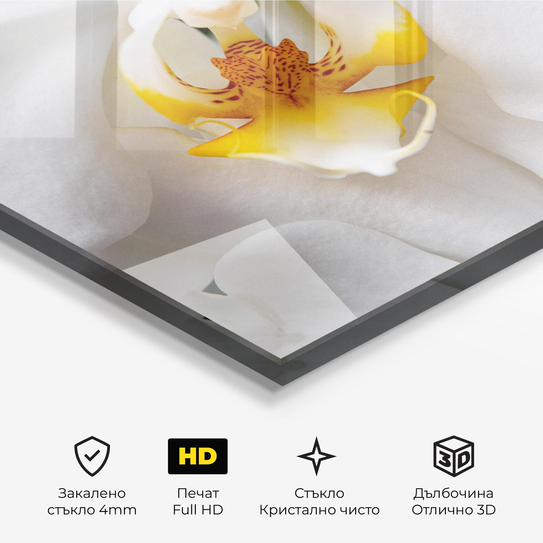 Стъклена картина Big Orchid Close Up mockup 3