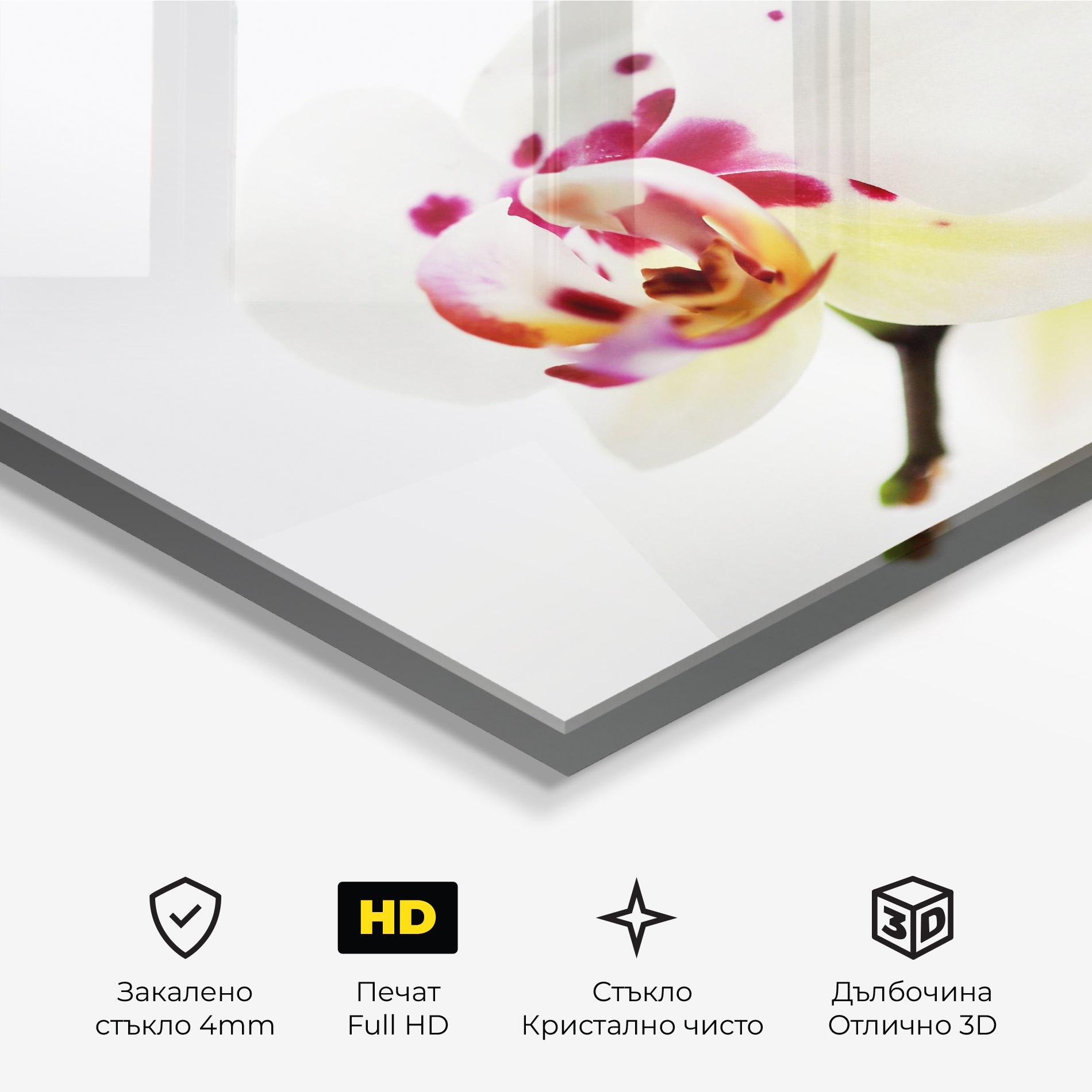 Стъклена картина Clean White Orchid mockup 3