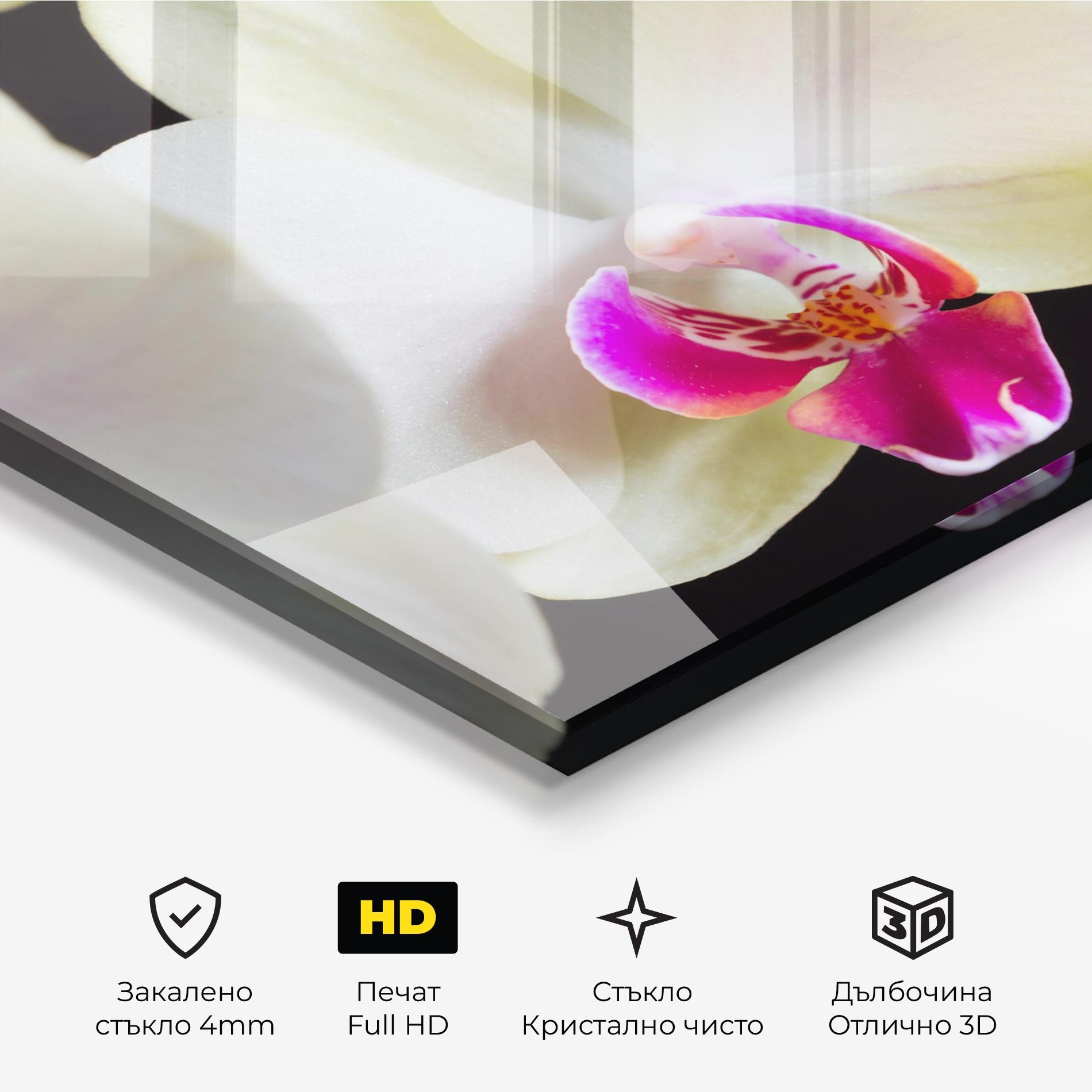 Стъклена картина Cream Purple Orchids mockup 3