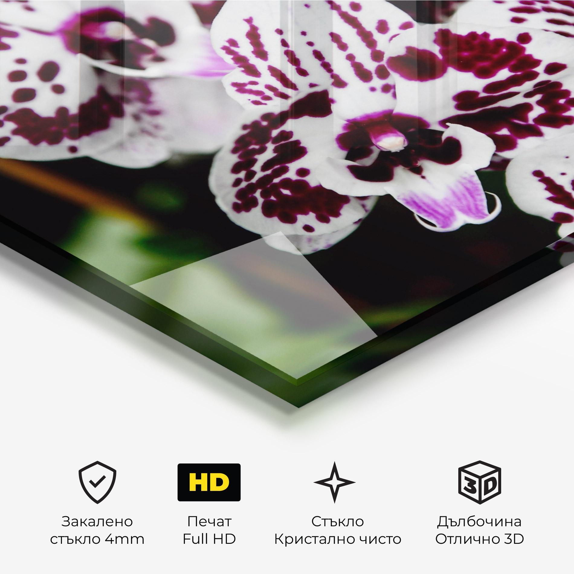 Стъклена картина Dark Purple Orchids mockup 3