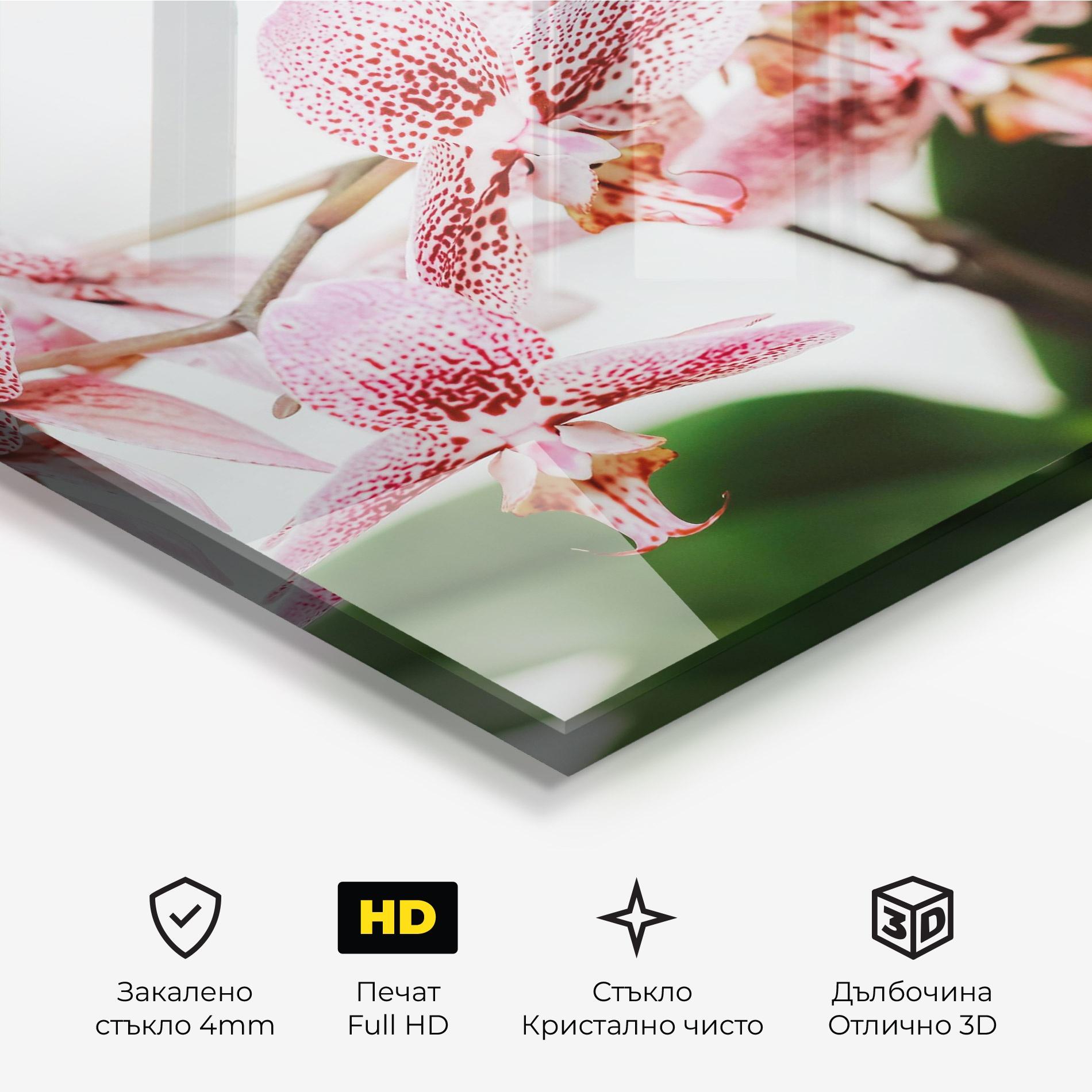 Стъклена картина Green Orchids mockup 3
