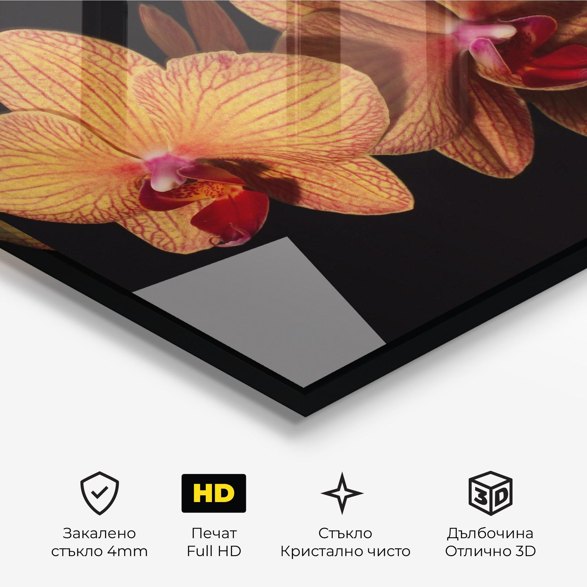 Стъклена картина Light Orange Orchid mockup 3