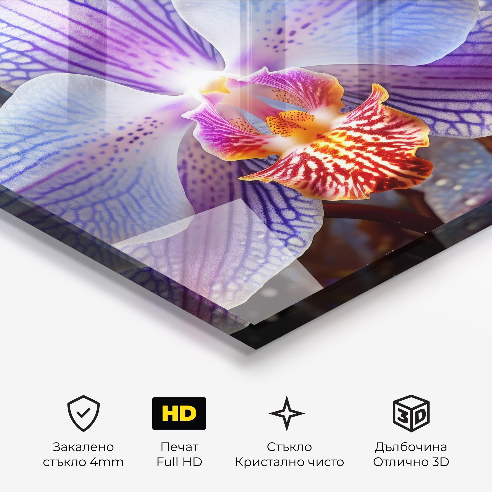Стъклена картина Light Purple Orchid Art mockup 3