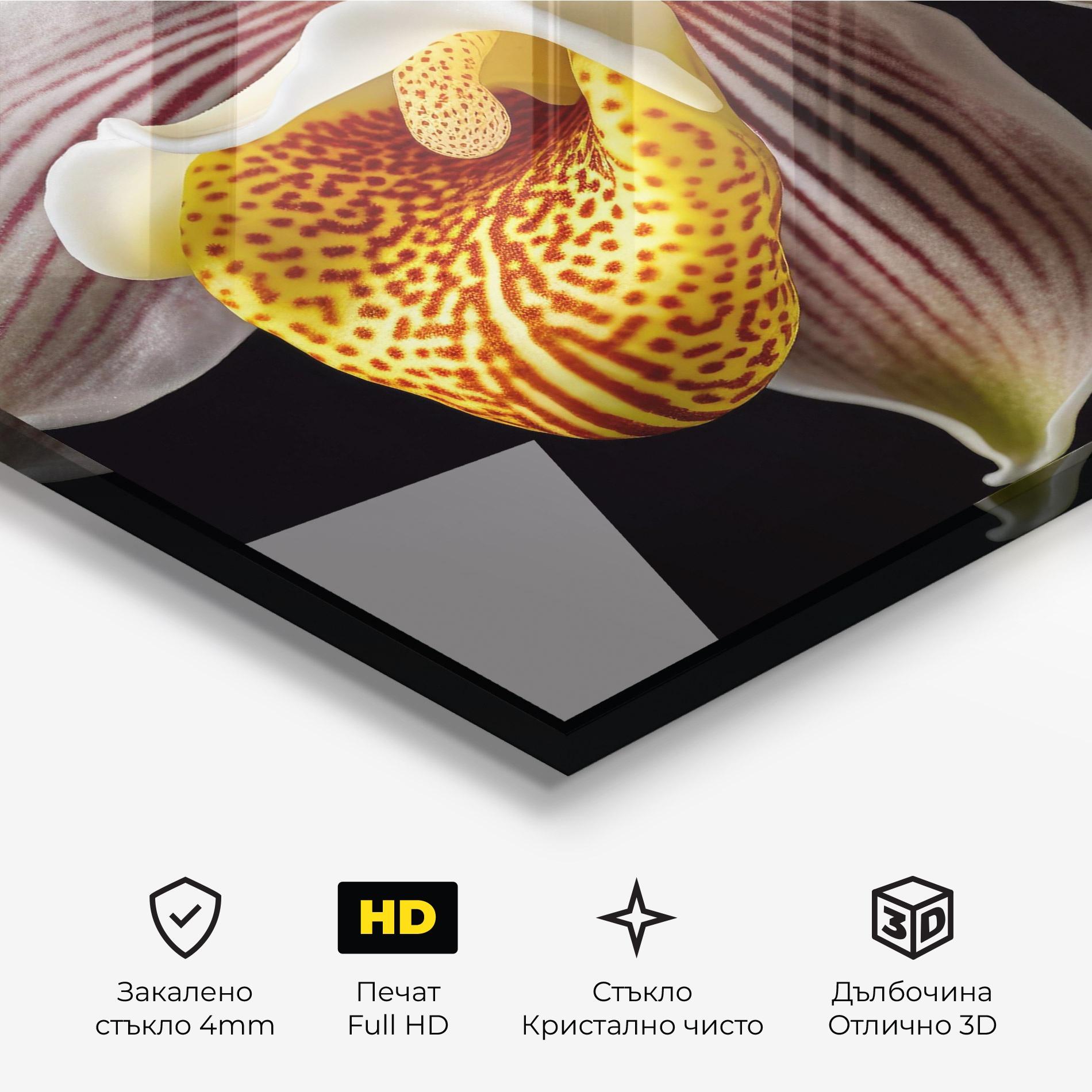 Стъклена картина Orchid On Black mockup 3