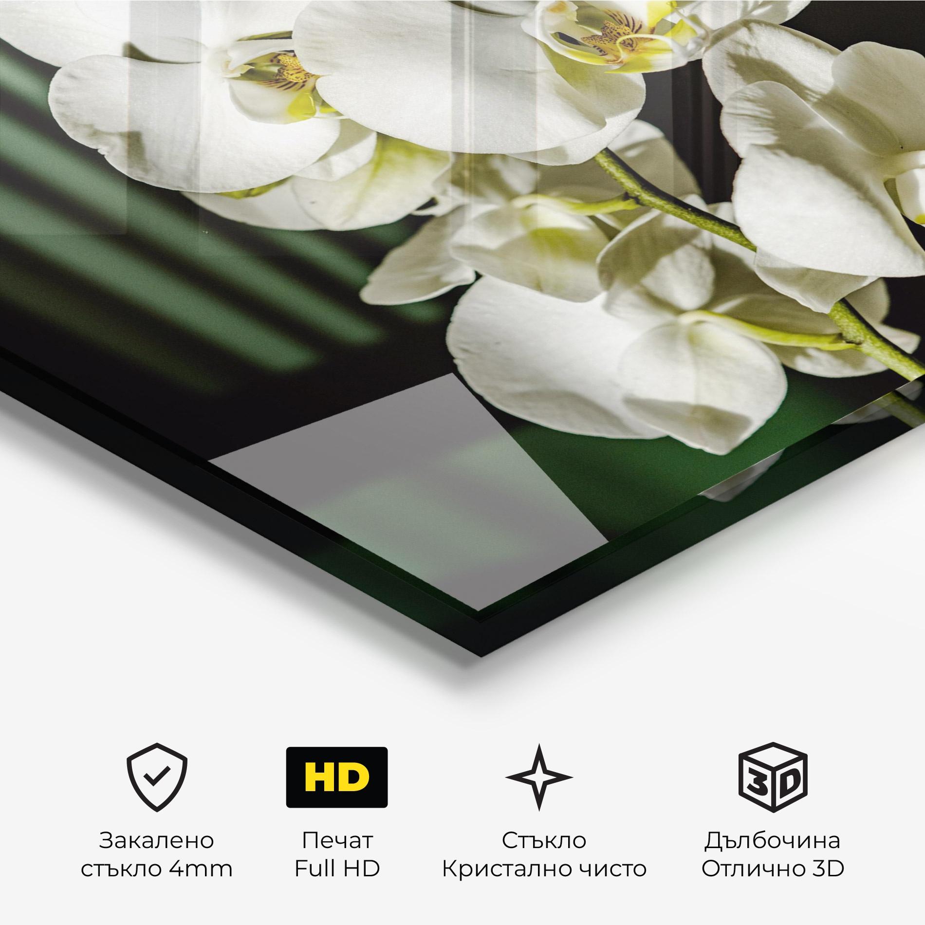Стъклена картина Orchid On Green mockup 3