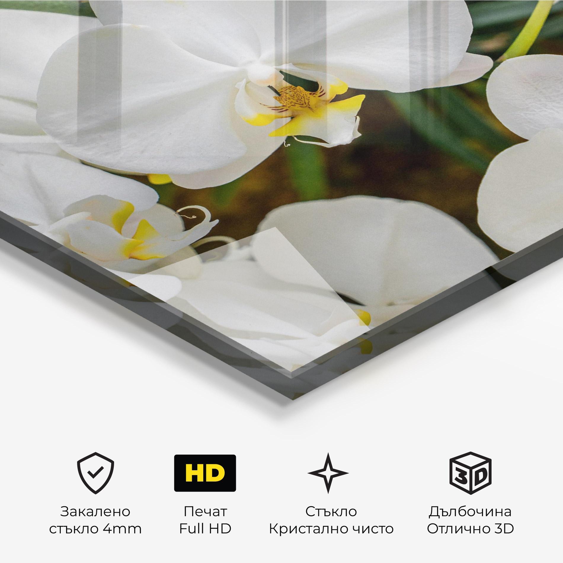 Стъклена картина Orchids In Nature mockup 3