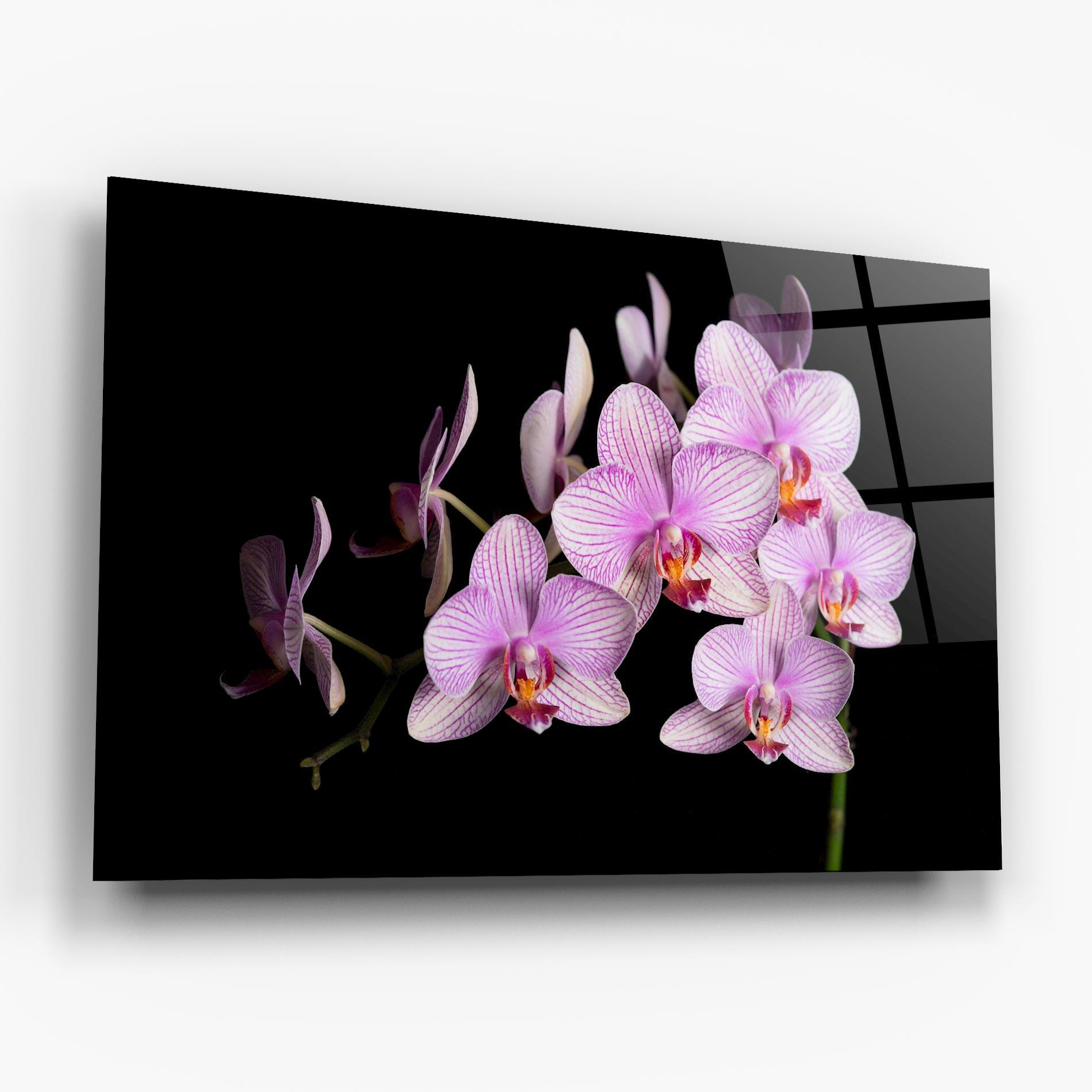 Стъклена картина Beautiful Orchids On Black mockup 6