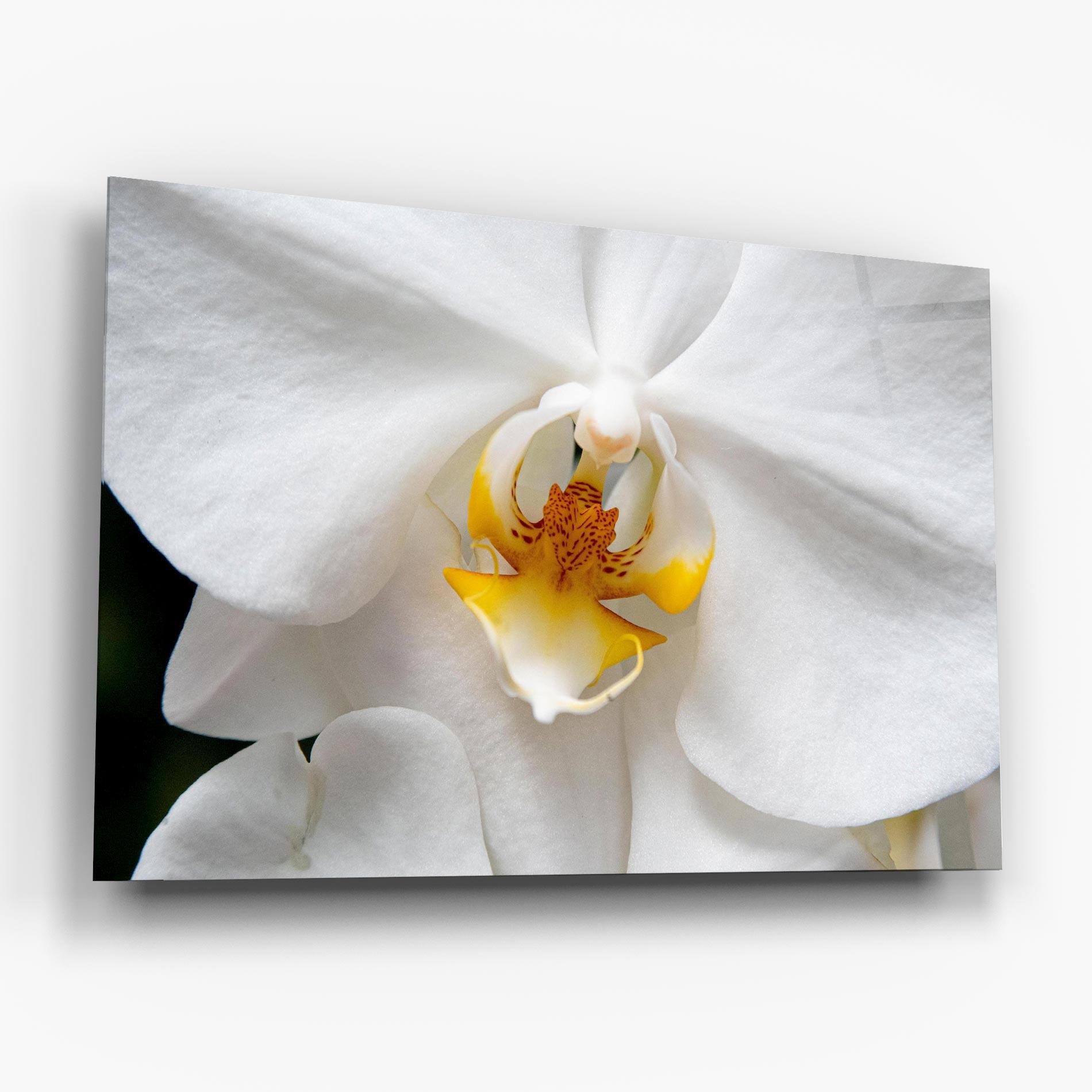 Стъклена картина Big Orchid Close Up mockup 6