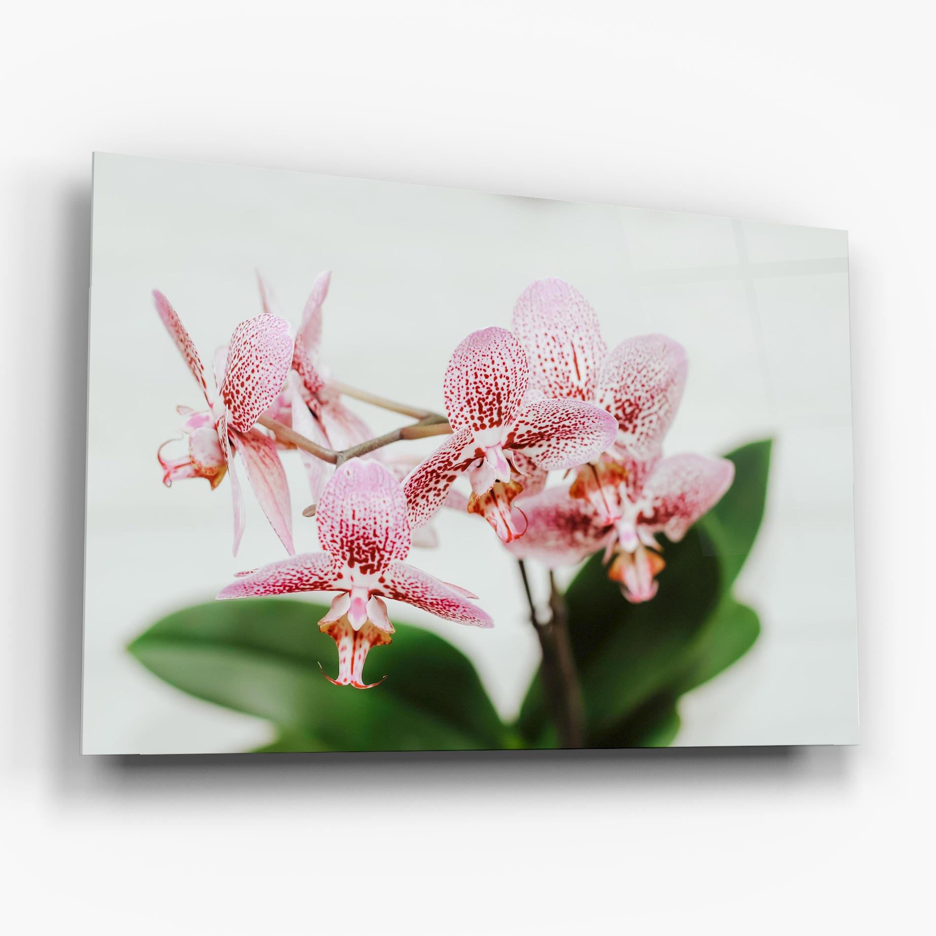 Стъклена картина Green Orchids mockup 6