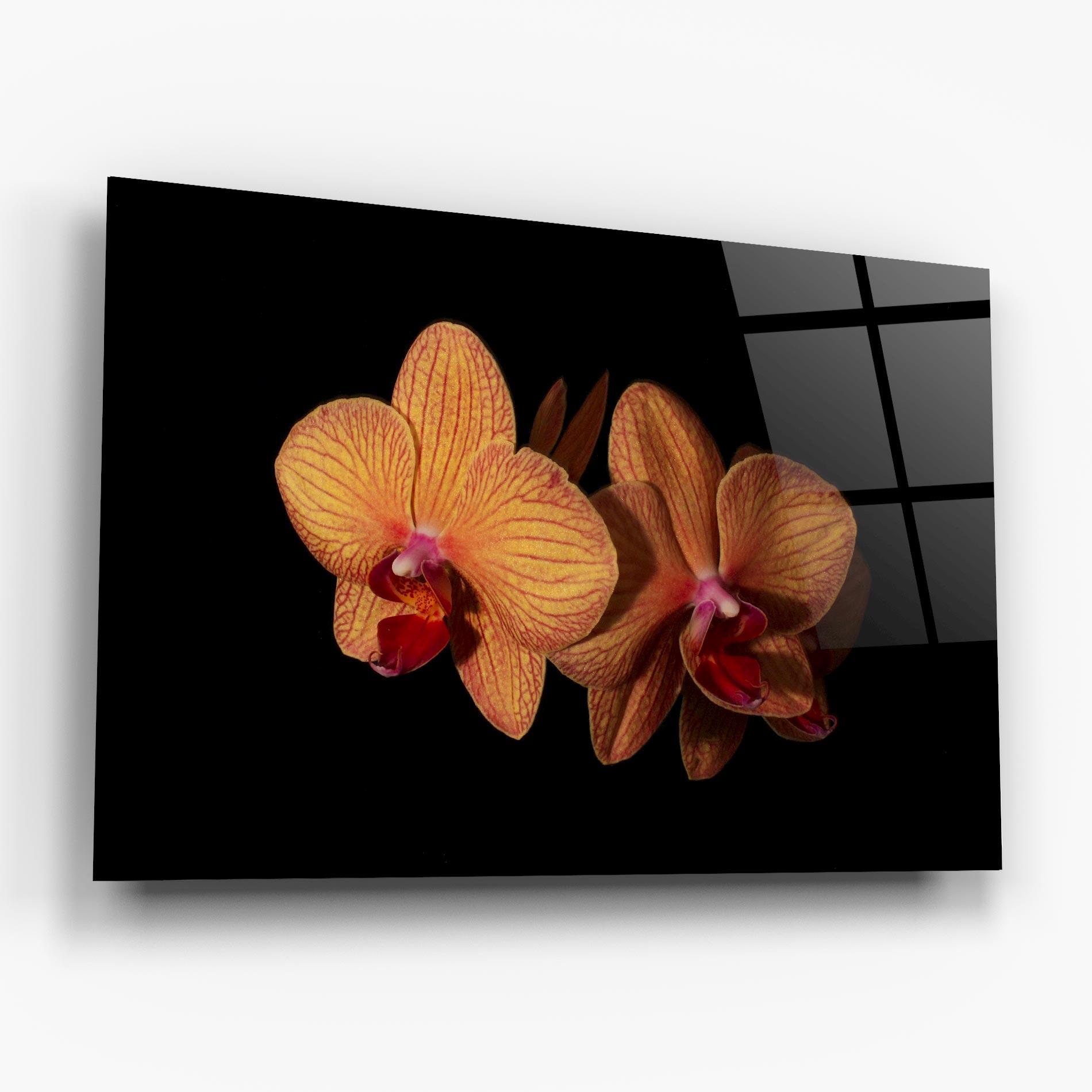 Стъклена картина Light Orange Orchid mockup 6