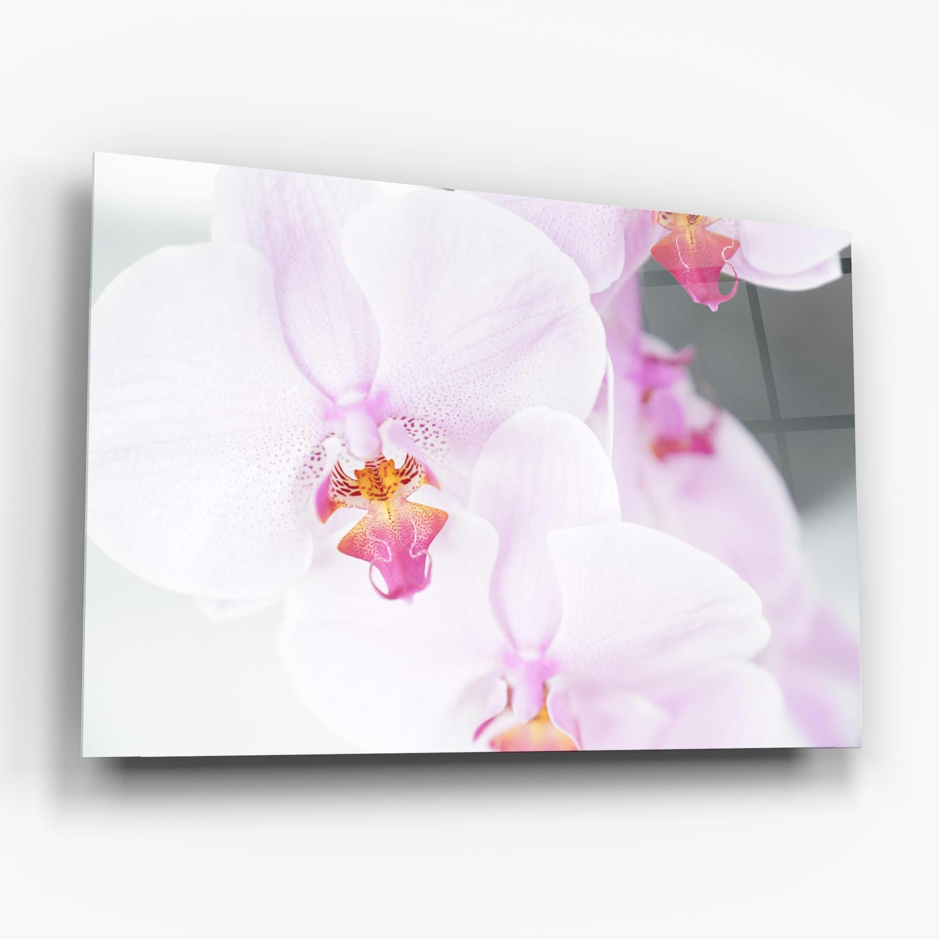 Light Purple Orchid mockup 6