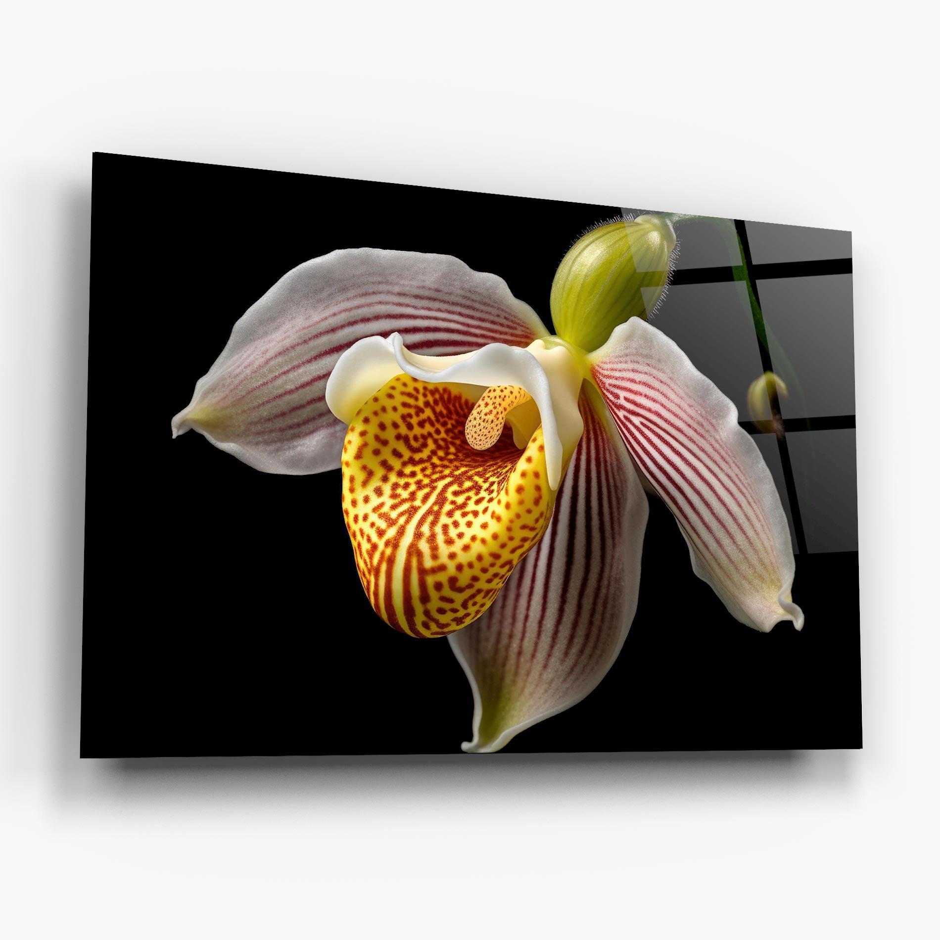 Стъклена картина Orchid On Black mockup 6