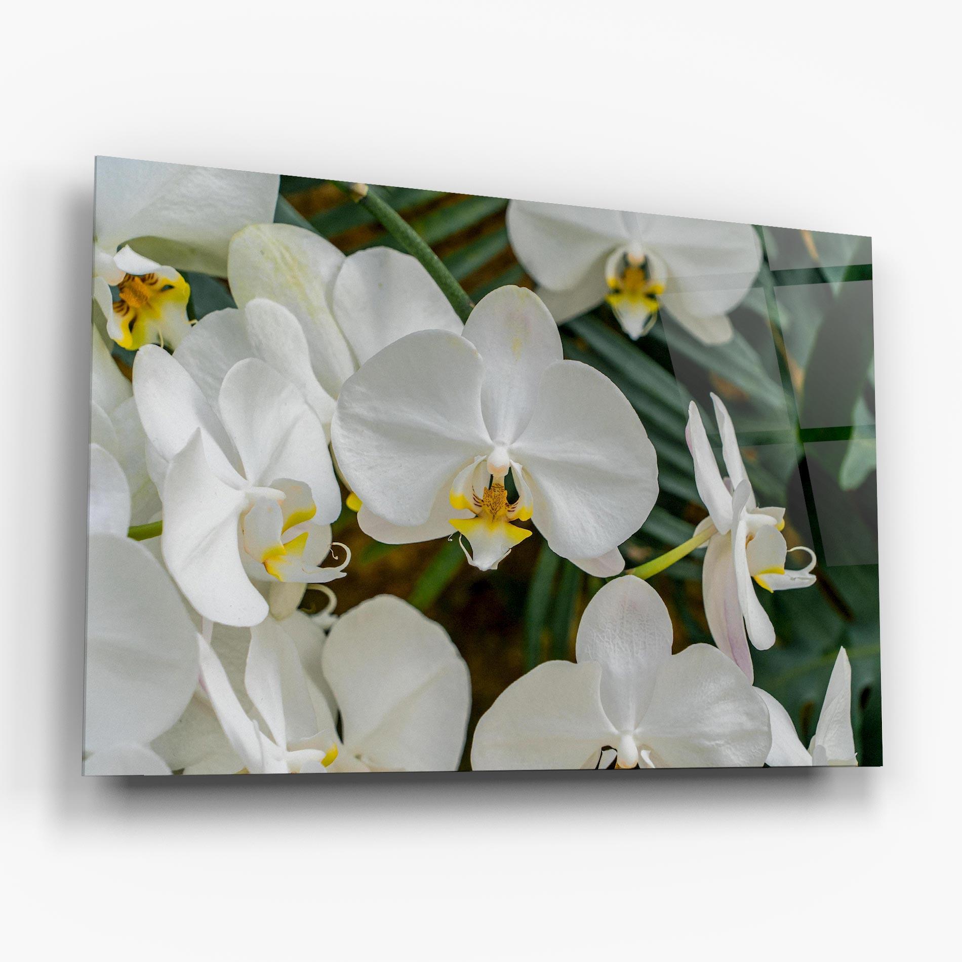 Стъклена картина Orchids In Nature mockup 6
