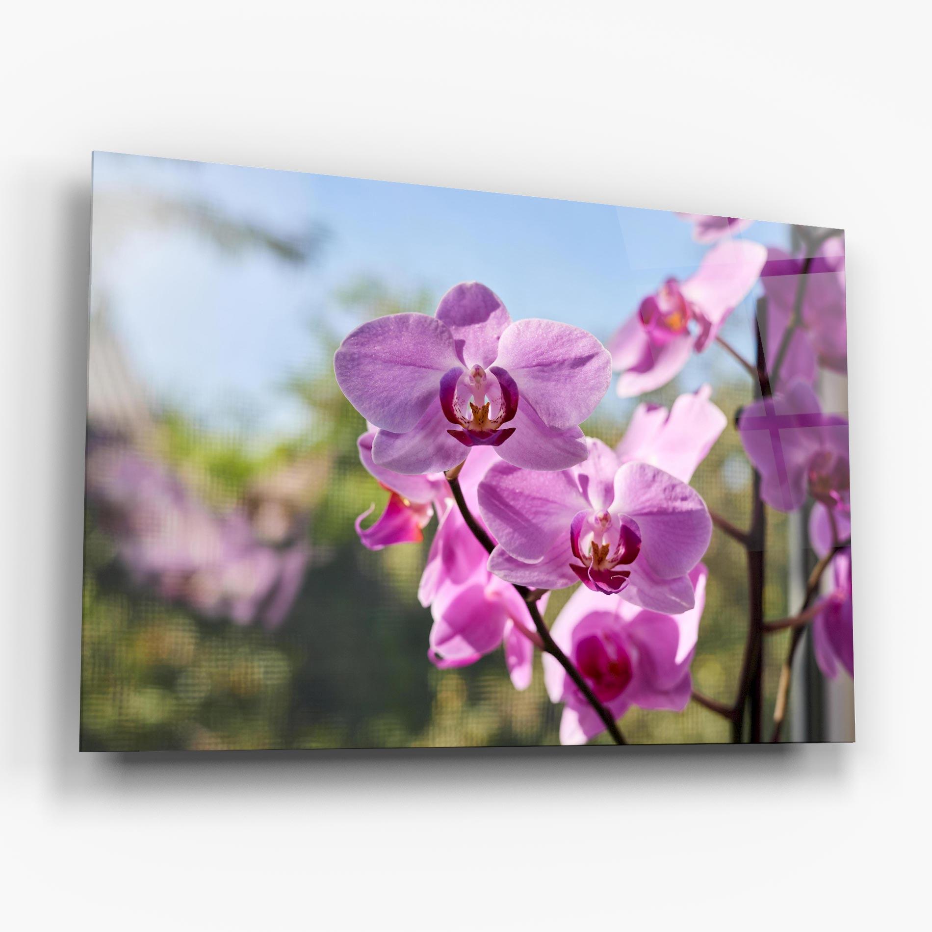 Стъклена картина Orchids In The Garden mockup 6