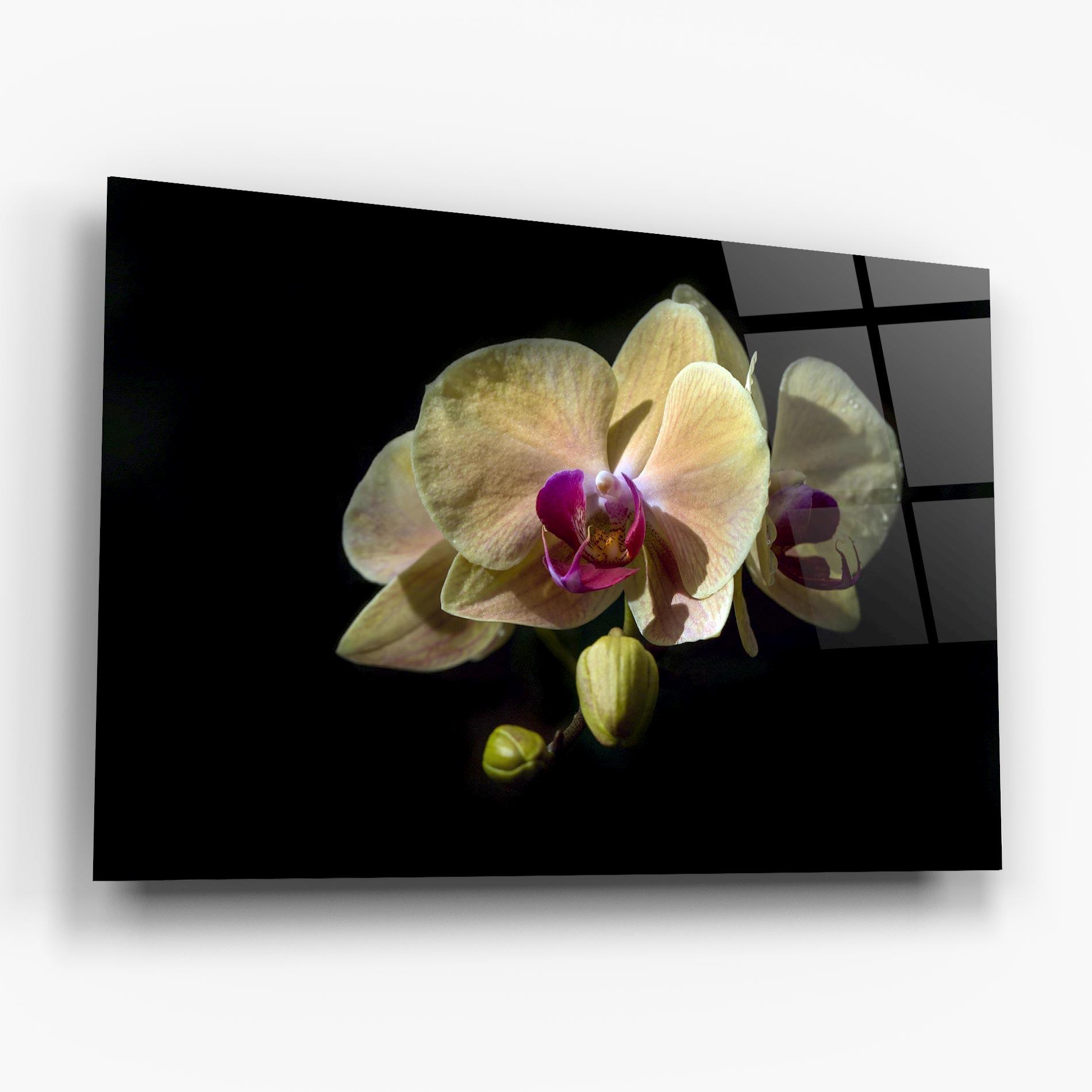 Стъклена картина Pastel Yellow Orchids mockup 6