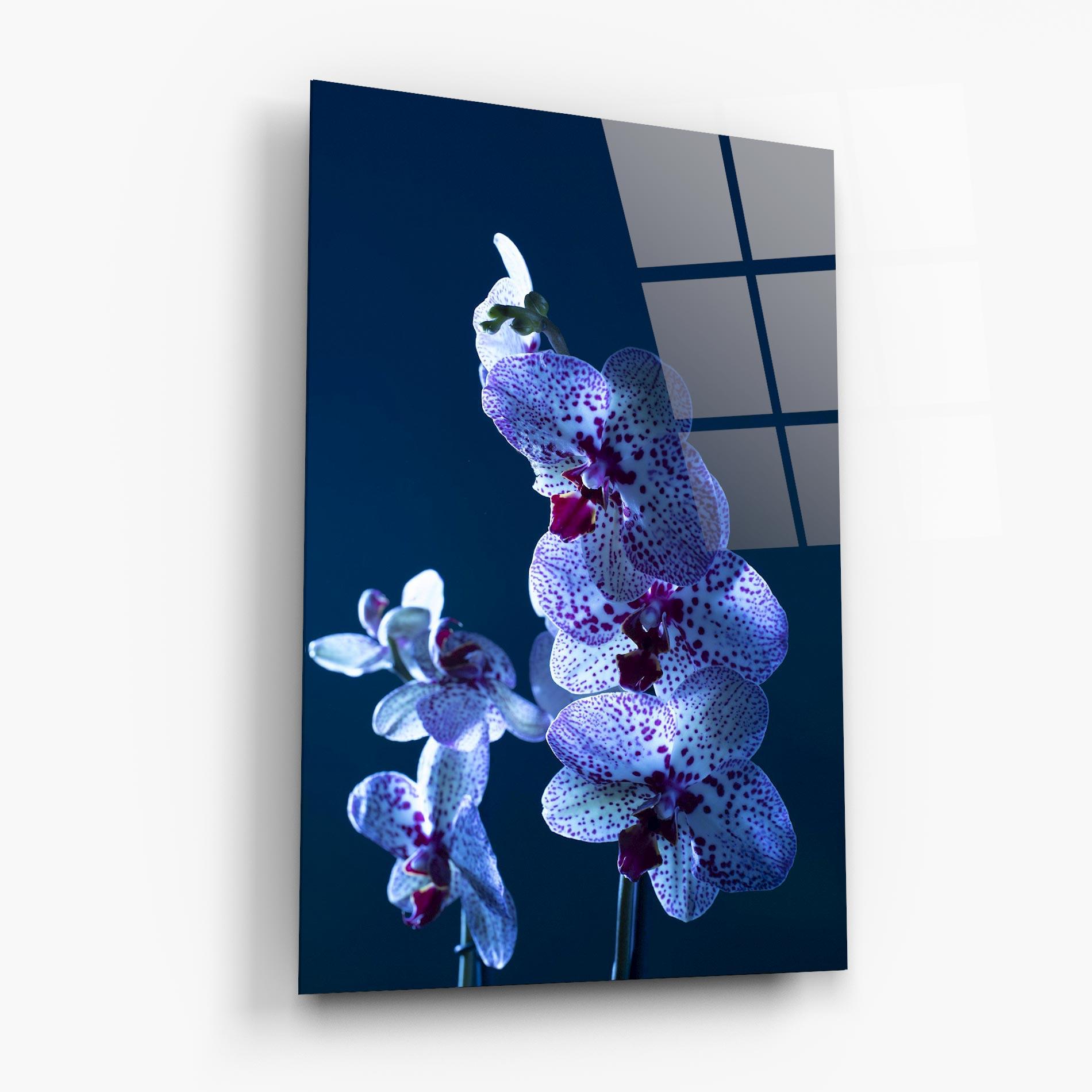Стъклена картина Blue Light Orchid mockup 6