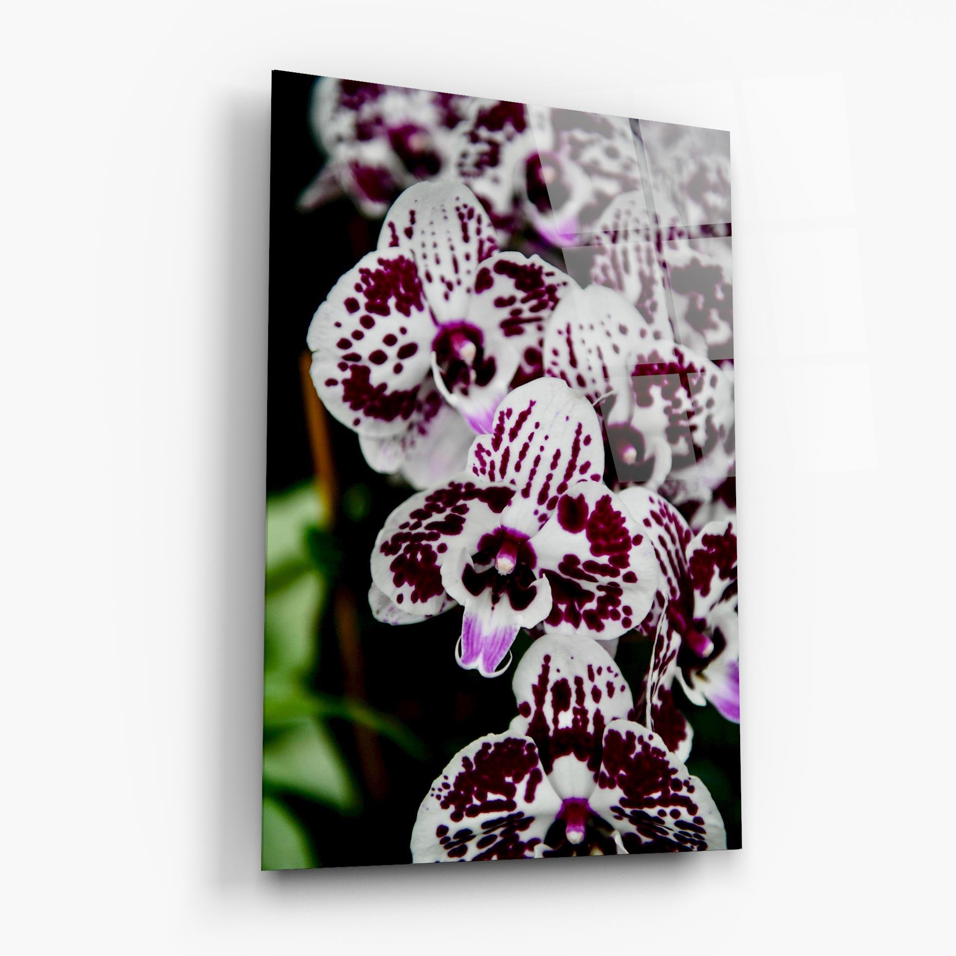Стъклена картина Dark Purple Orchids mockup 6