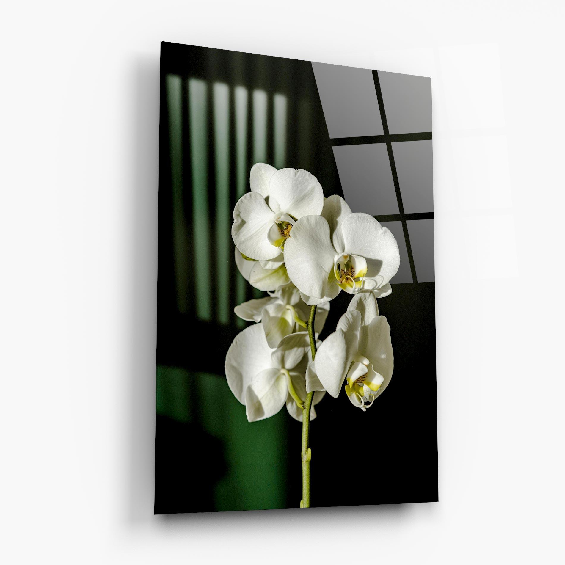 Стъклена картина Orchid On Green mockup 6