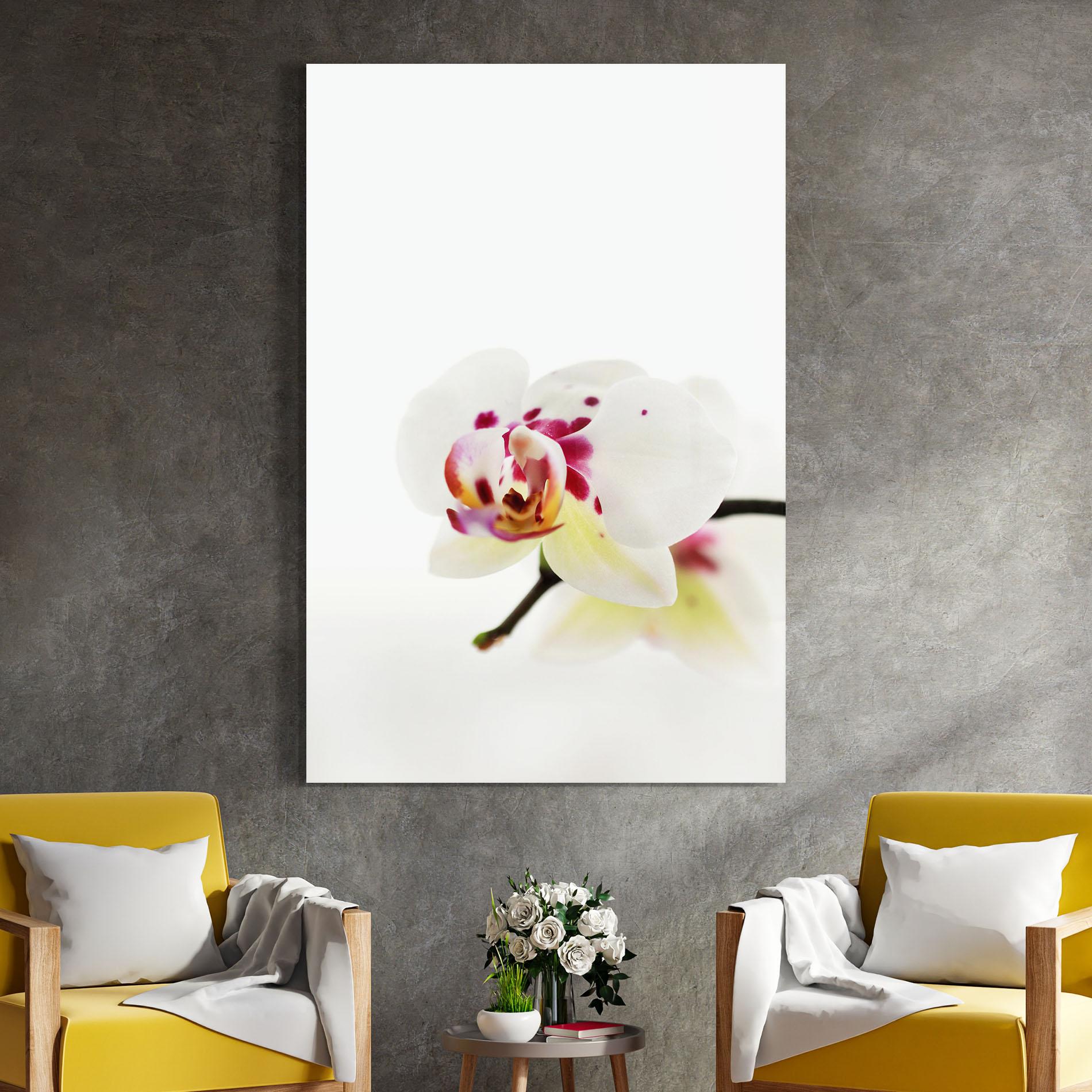 Стъклена картина Clean White Orchid mockup 4