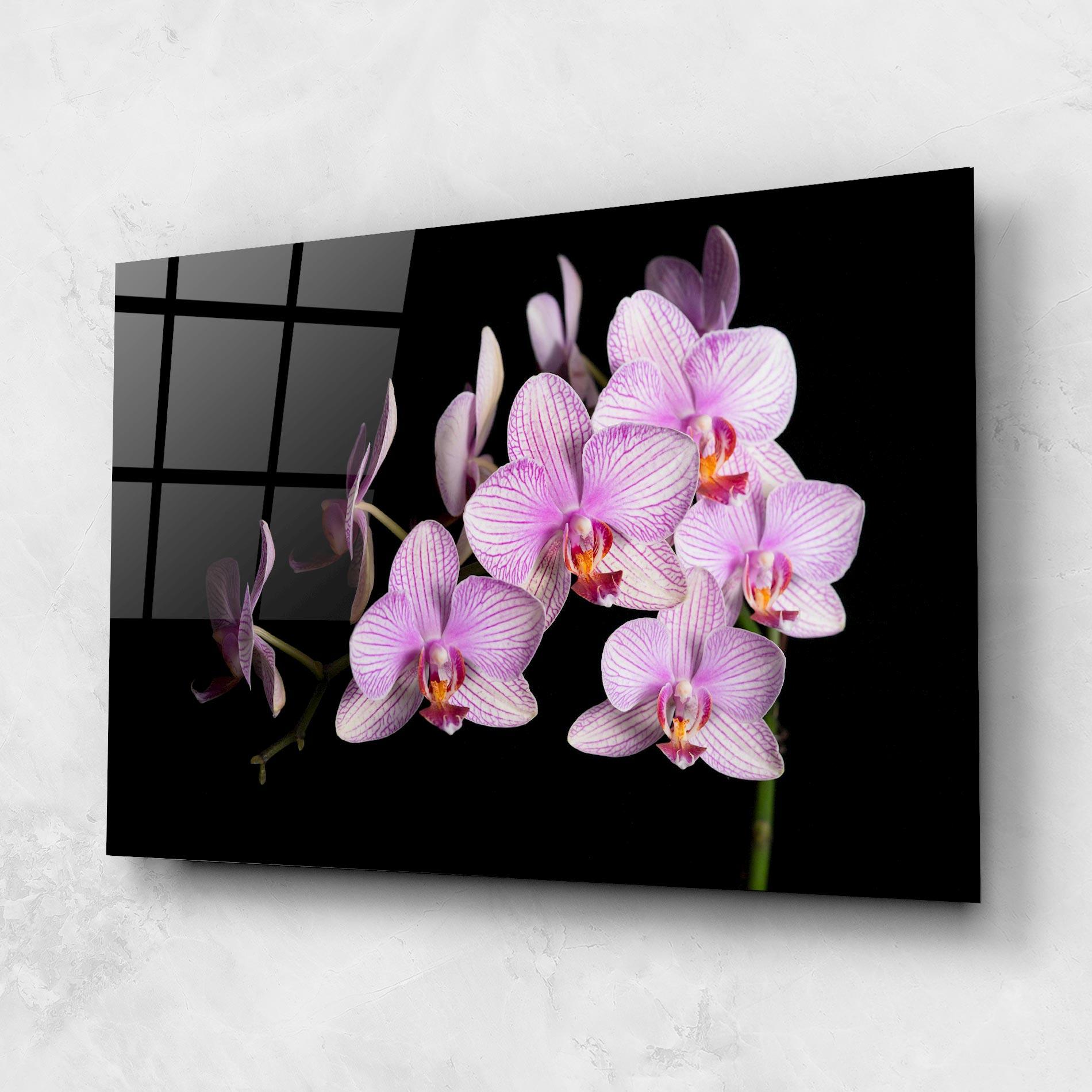 Стъклена картина Beautiful Orchids On Black mockup 1