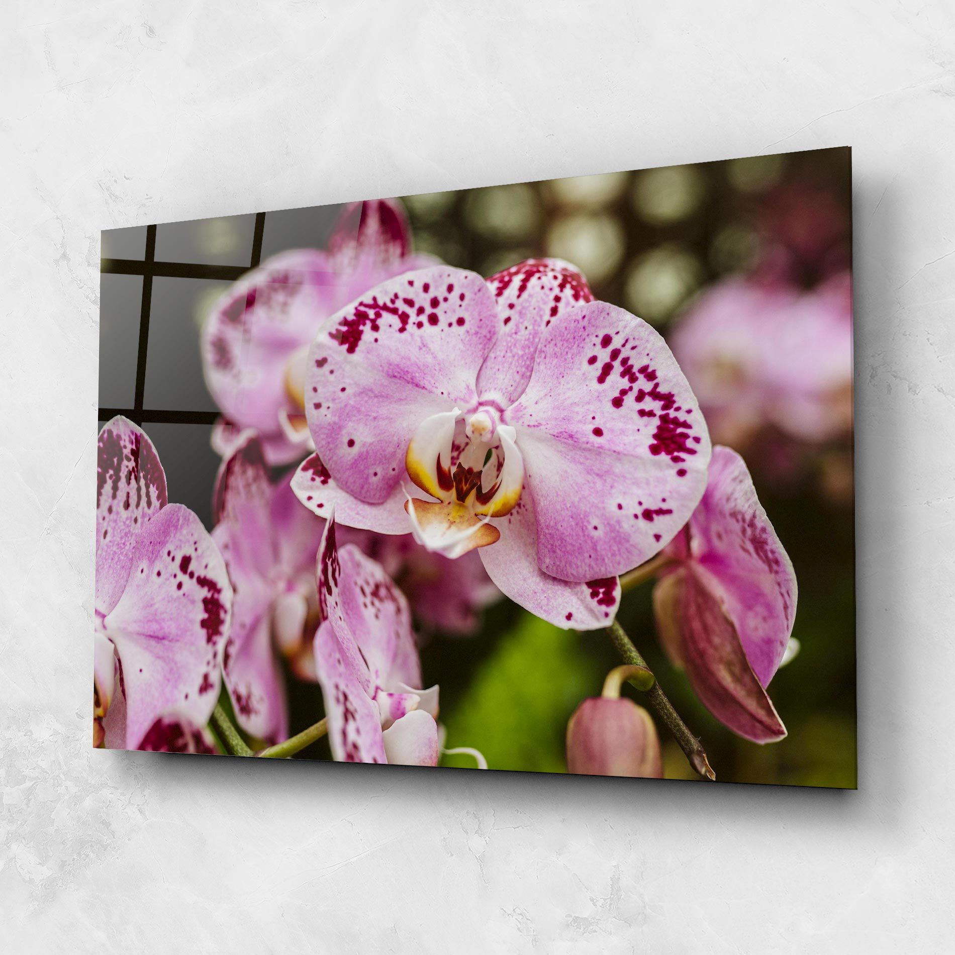 Big Pink Orchid In Nature mockup 1