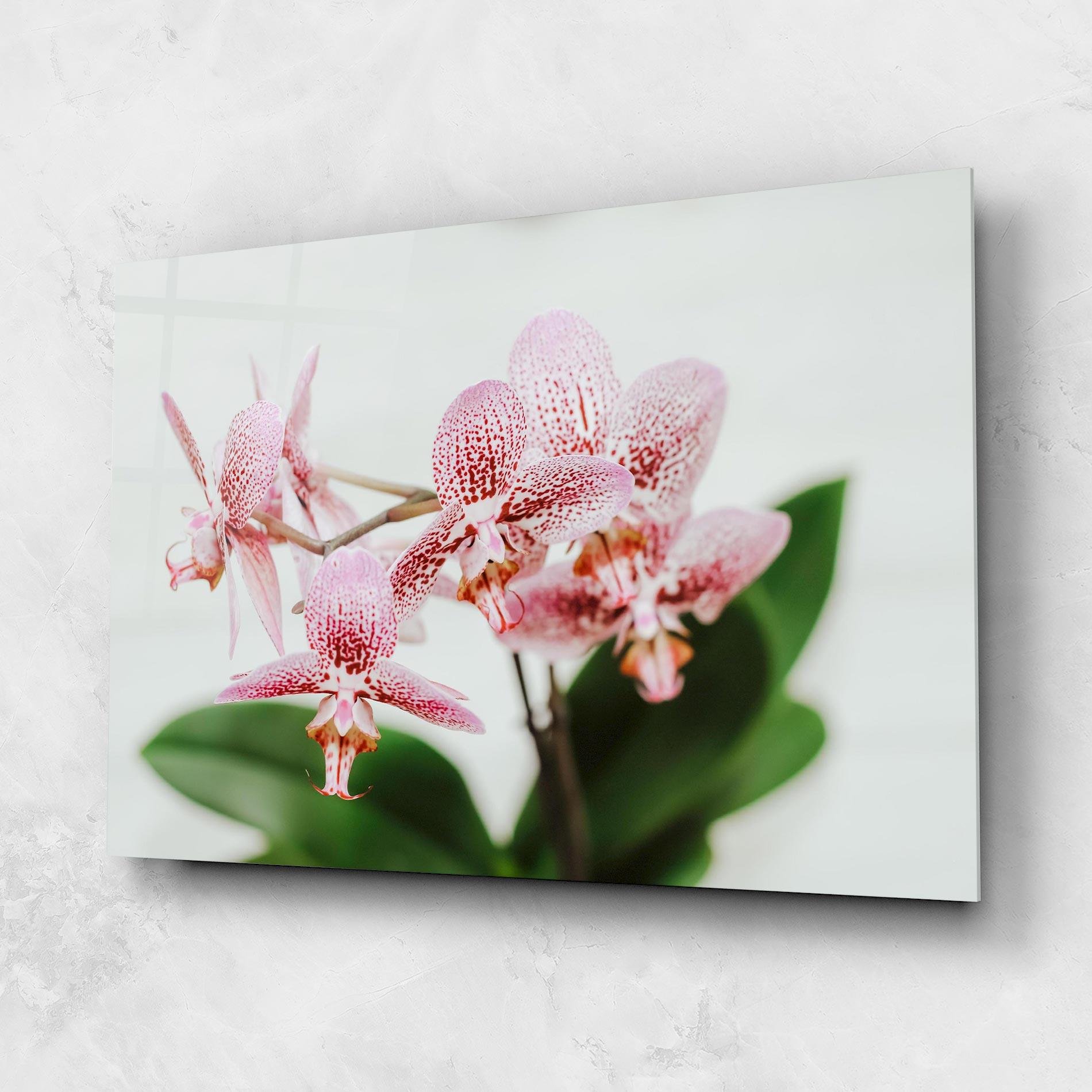 Стъклена картина Green Orchids mockup 1