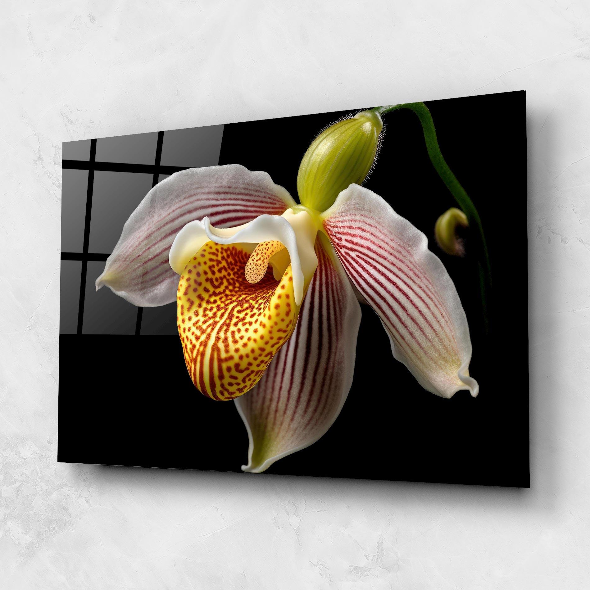Стъклена картина Orchid On Black mockup 1