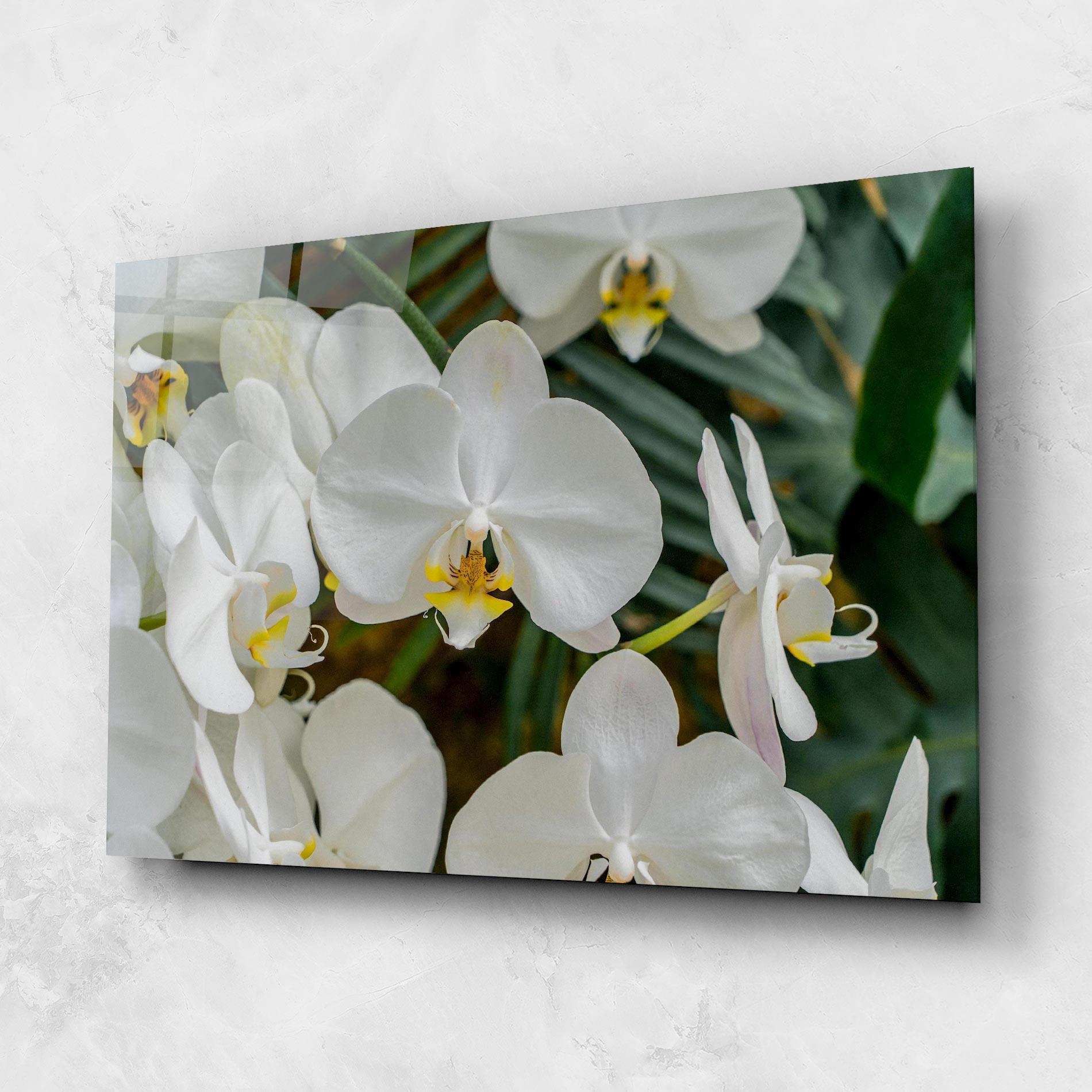 Стъклена картина Orchids In Nature mockup 1