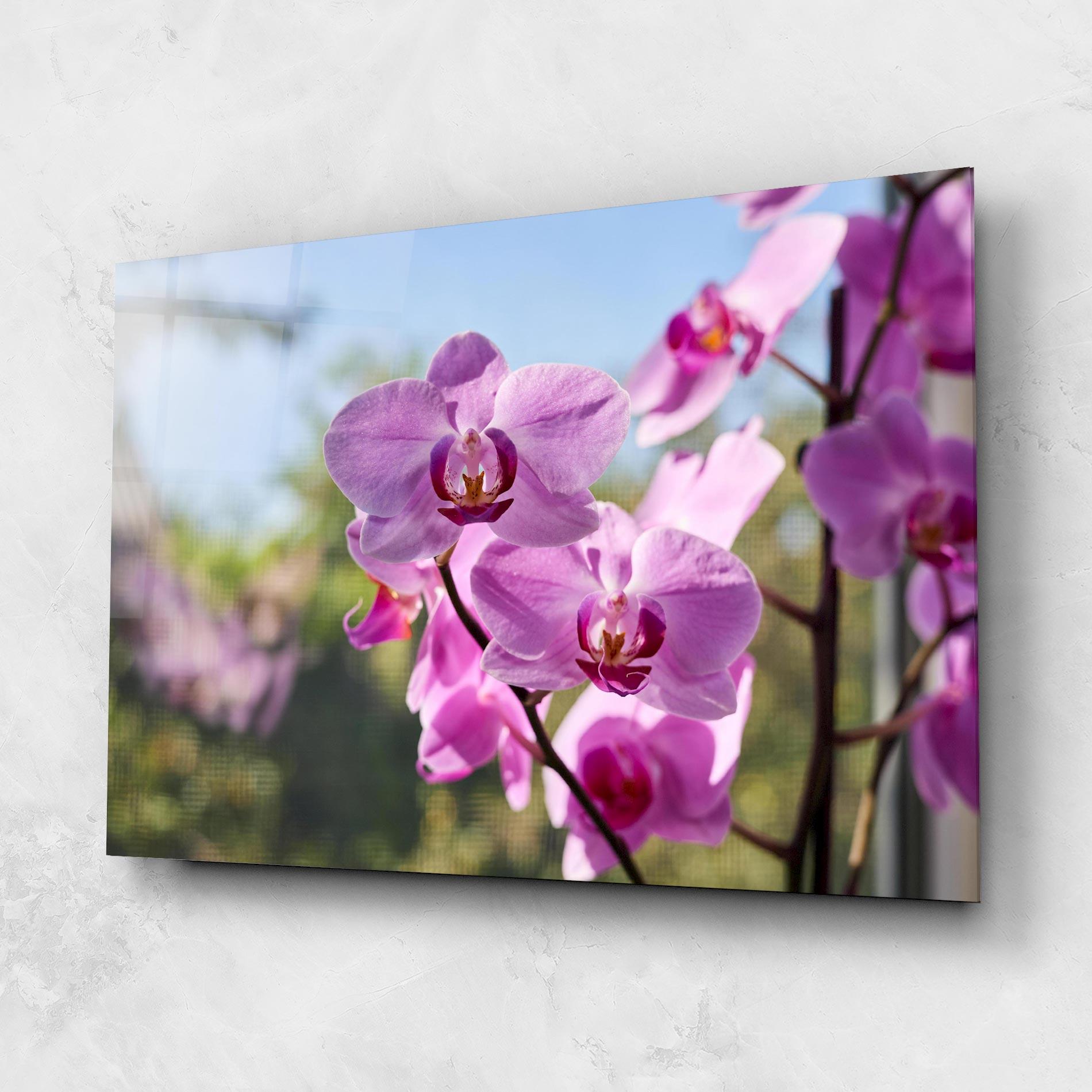 Стъклена картина Orchids In The Garden mockup 1