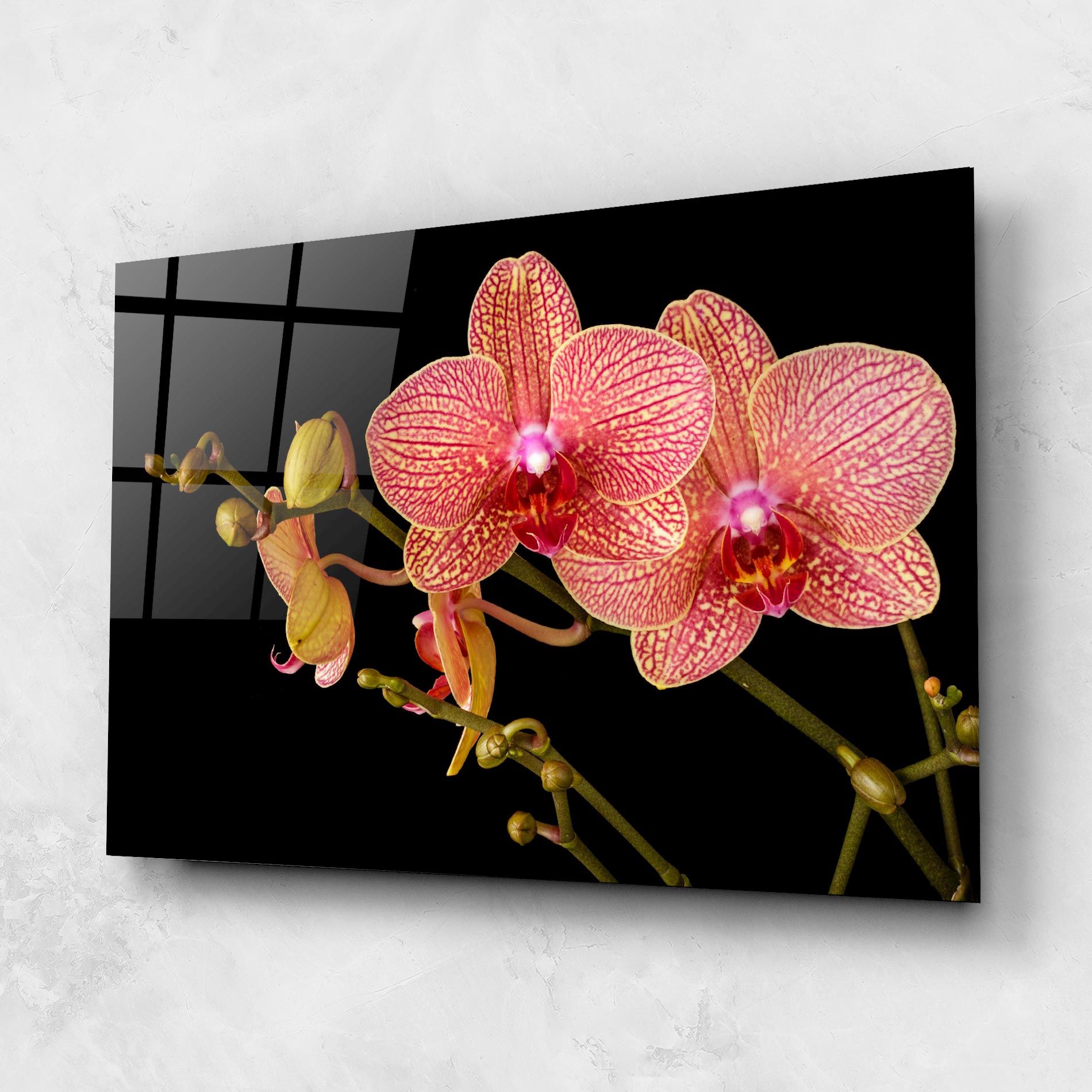 Pink Orchids On Black mockup 1