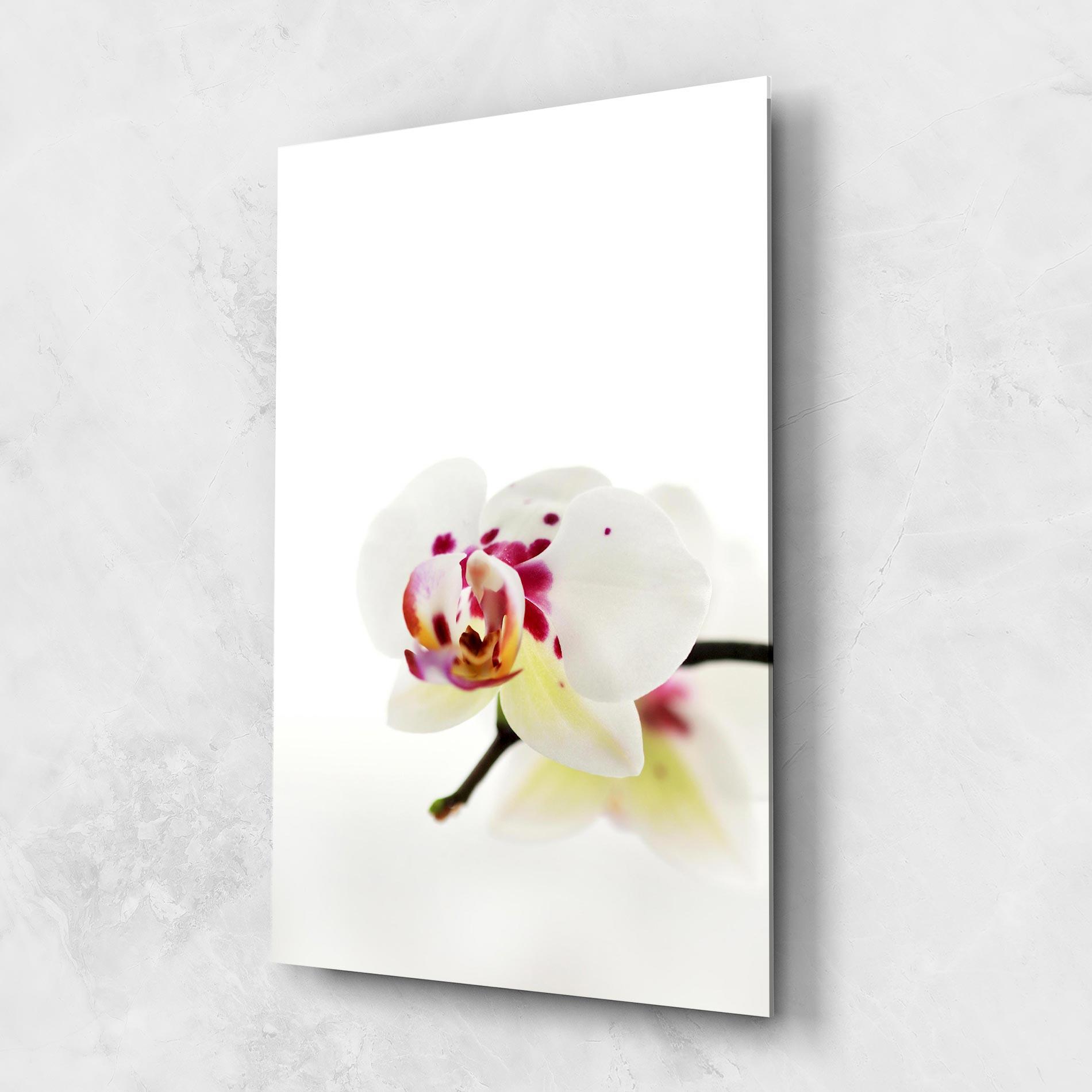 Стъклена картина Clean White Orchid mockup 1