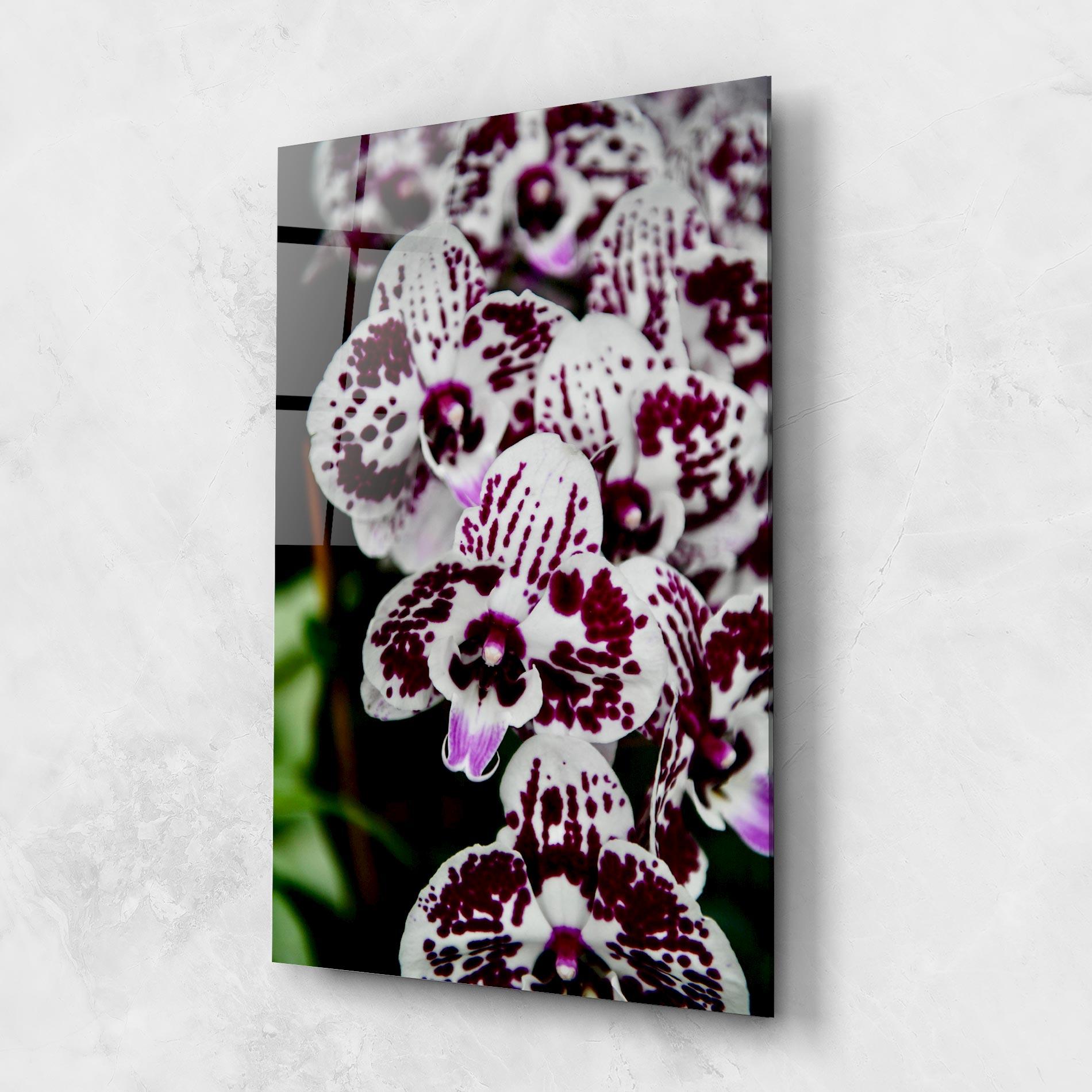 Стъклена картина Dark Purple Orchids mockup 1