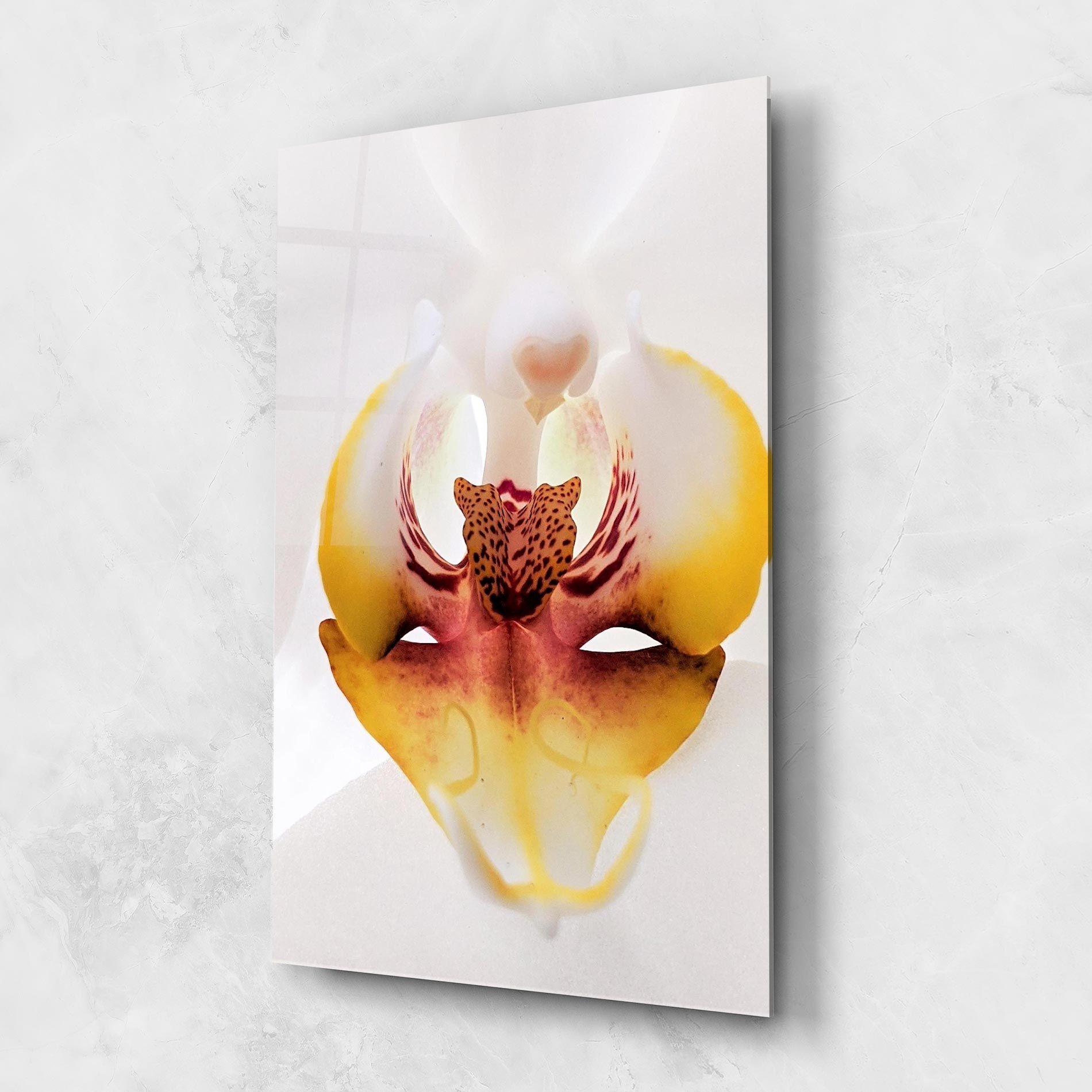 Orchid Close Up mockup 1