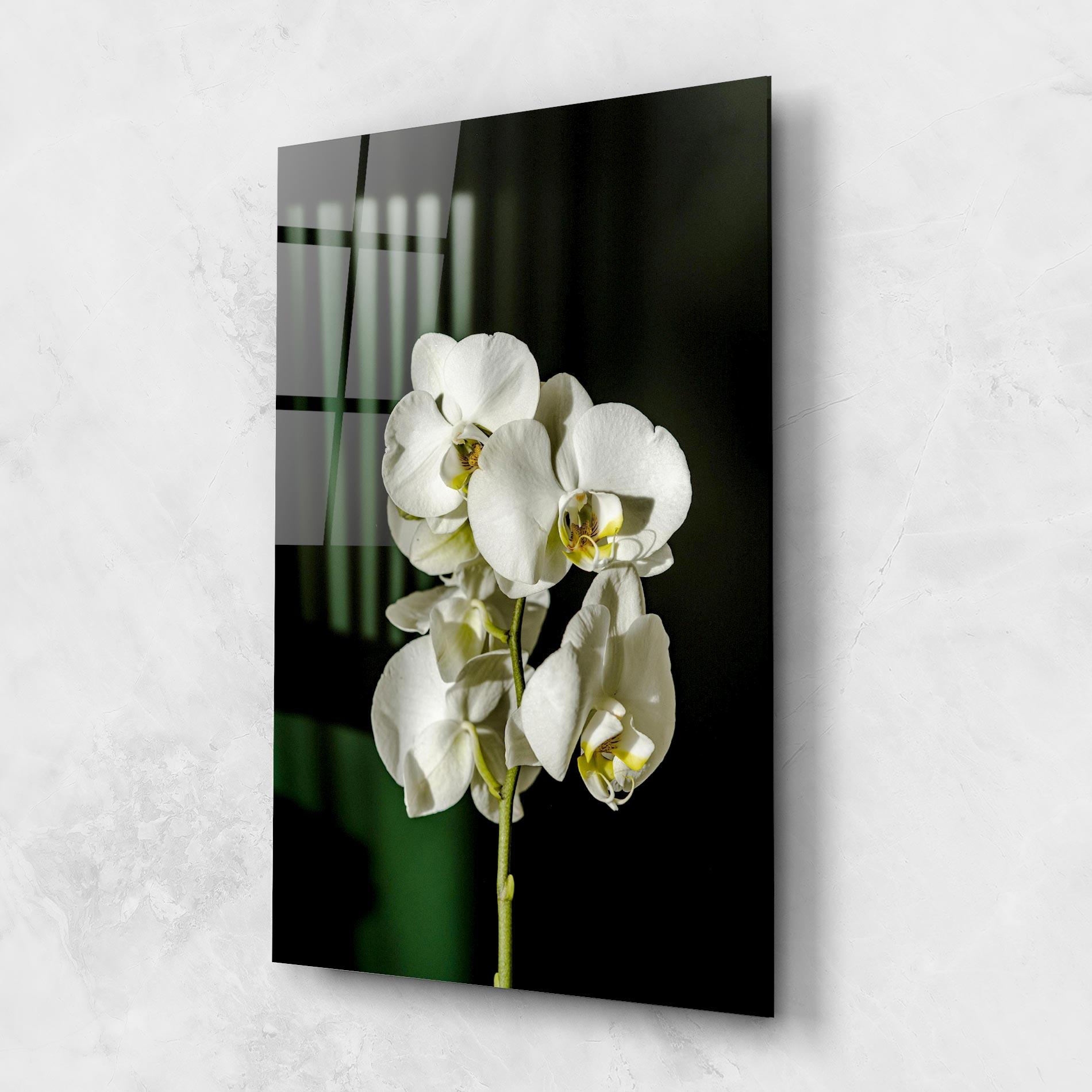 Стъклена картина Orchid On Green mockup 1