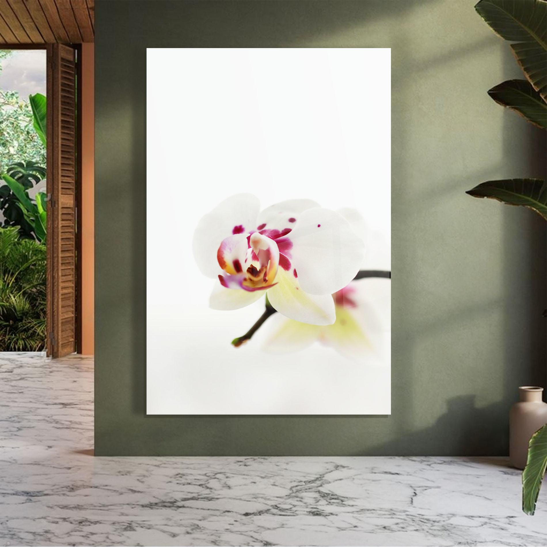 Стъклена картина Clean White Orchid mockup 7