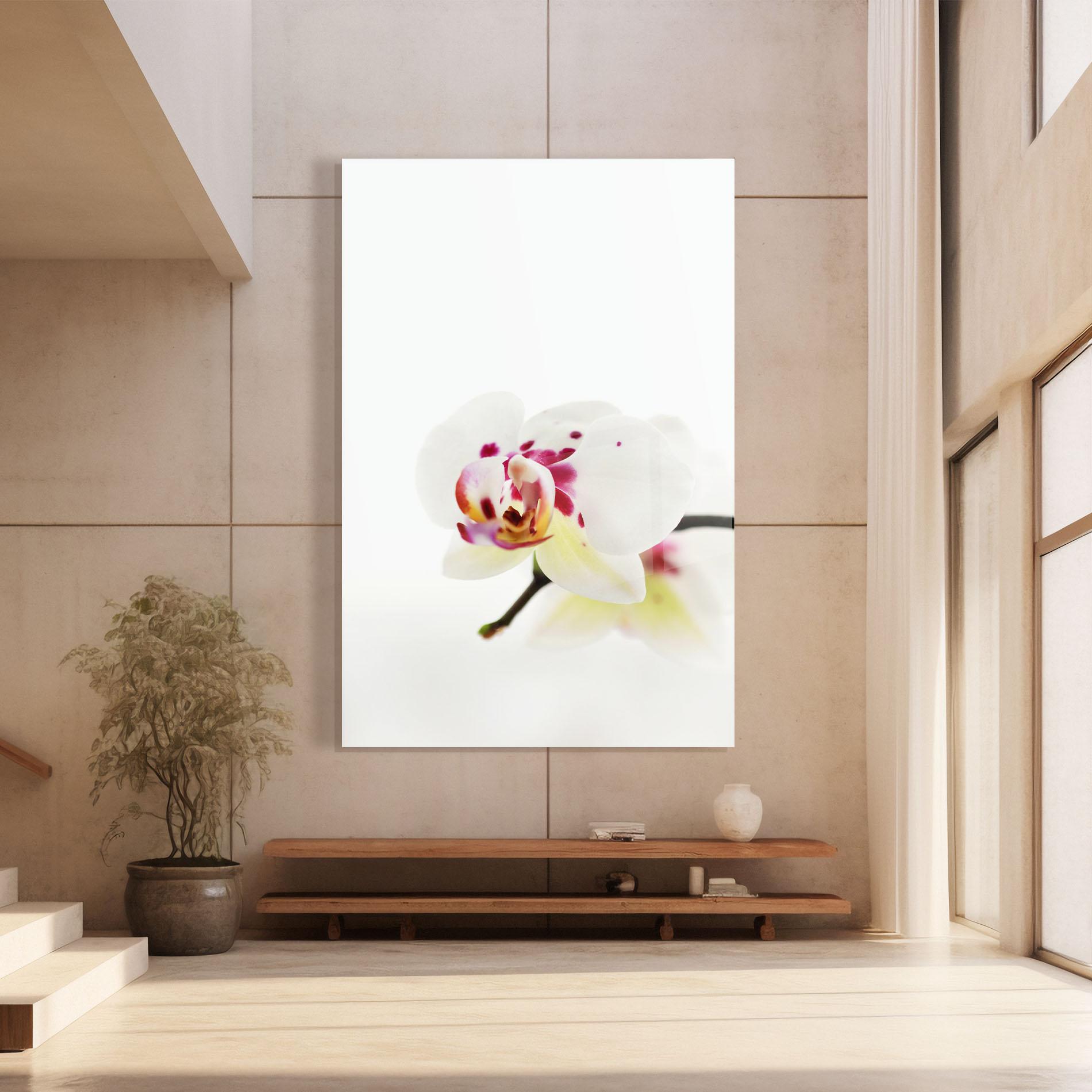 Стъклена картина Clean White Orchid mockup 8